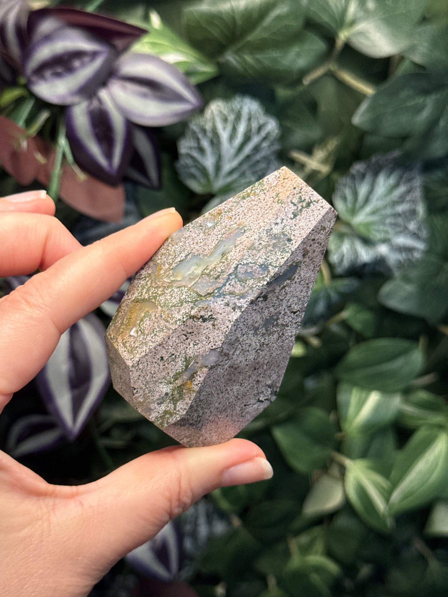 Ocean Jasper Freeform