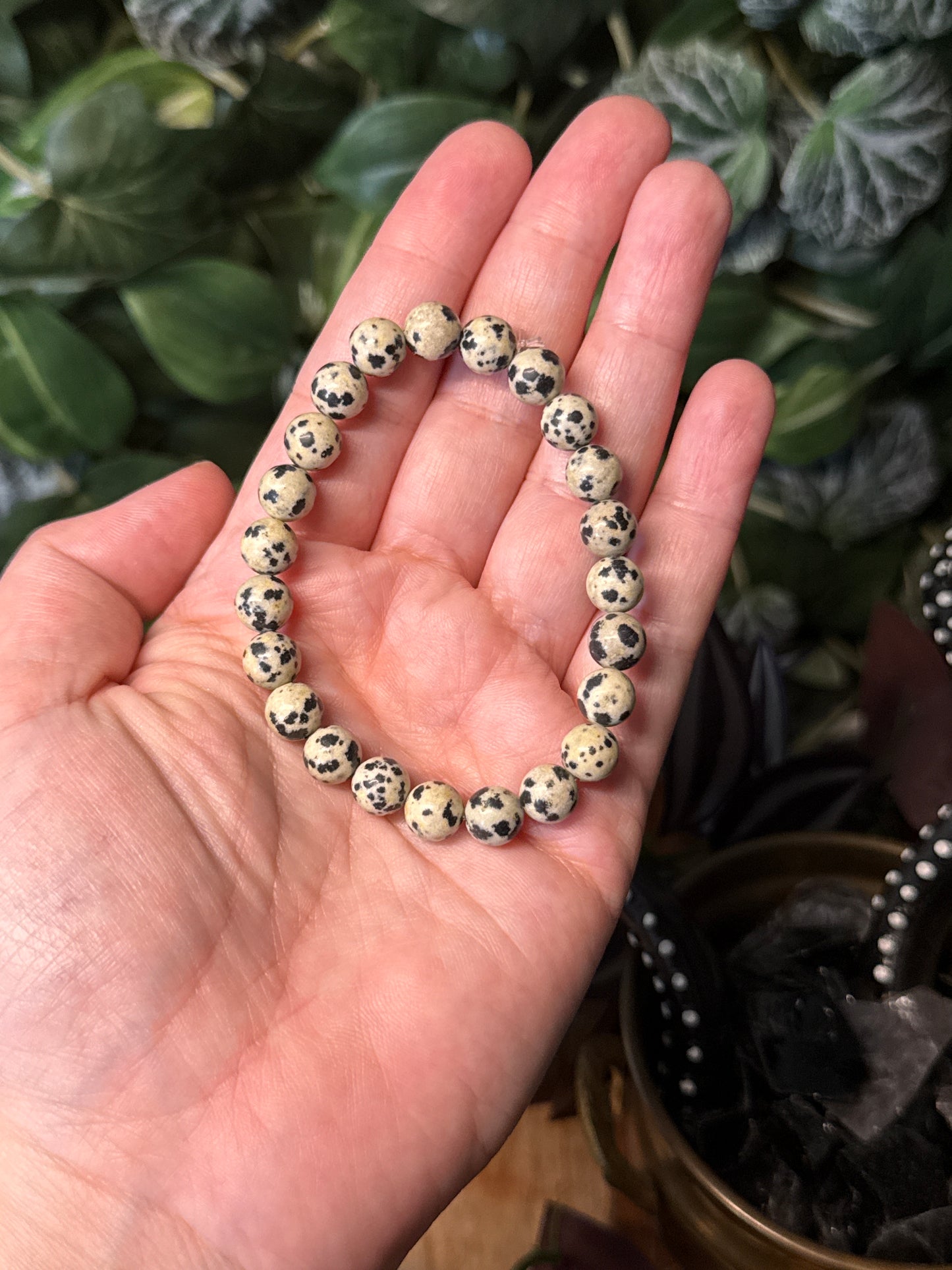 Dalmatian jasper bracelet