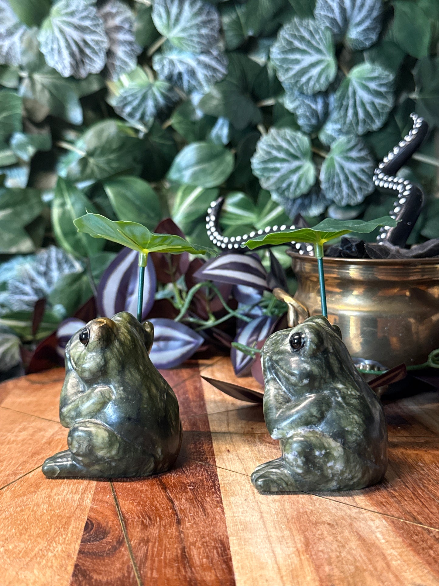 Green jade frog