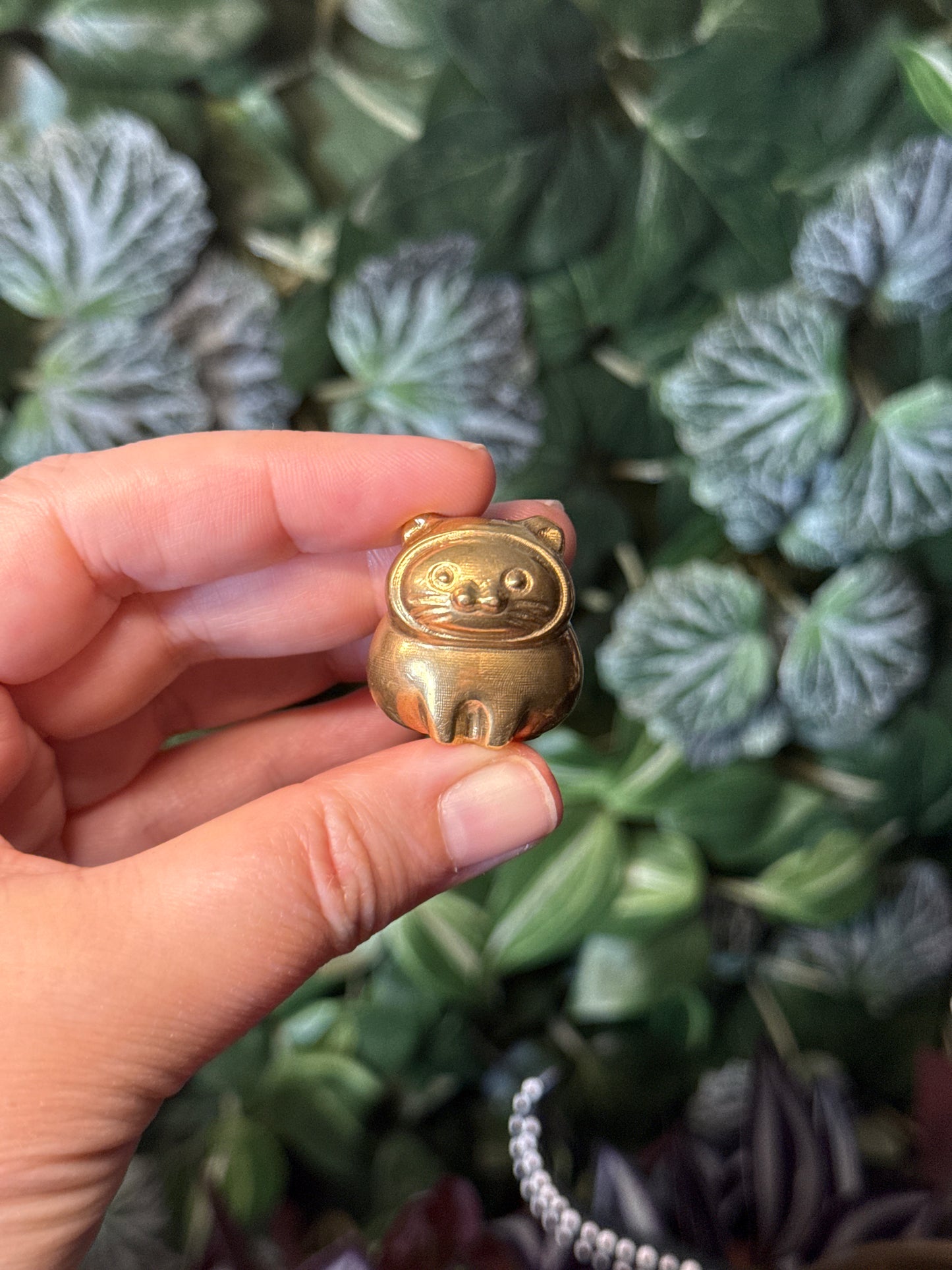 Pyrite kitty
