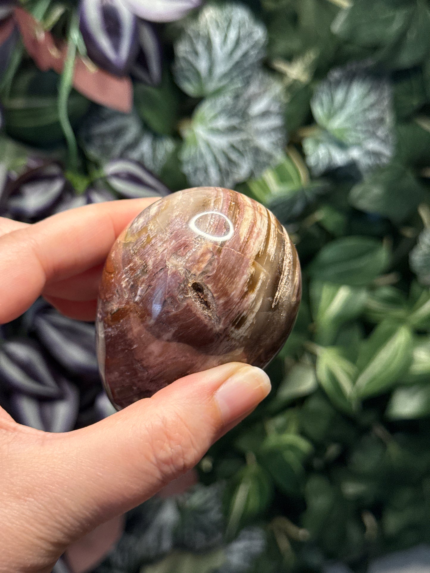 Petrified Wood Egg