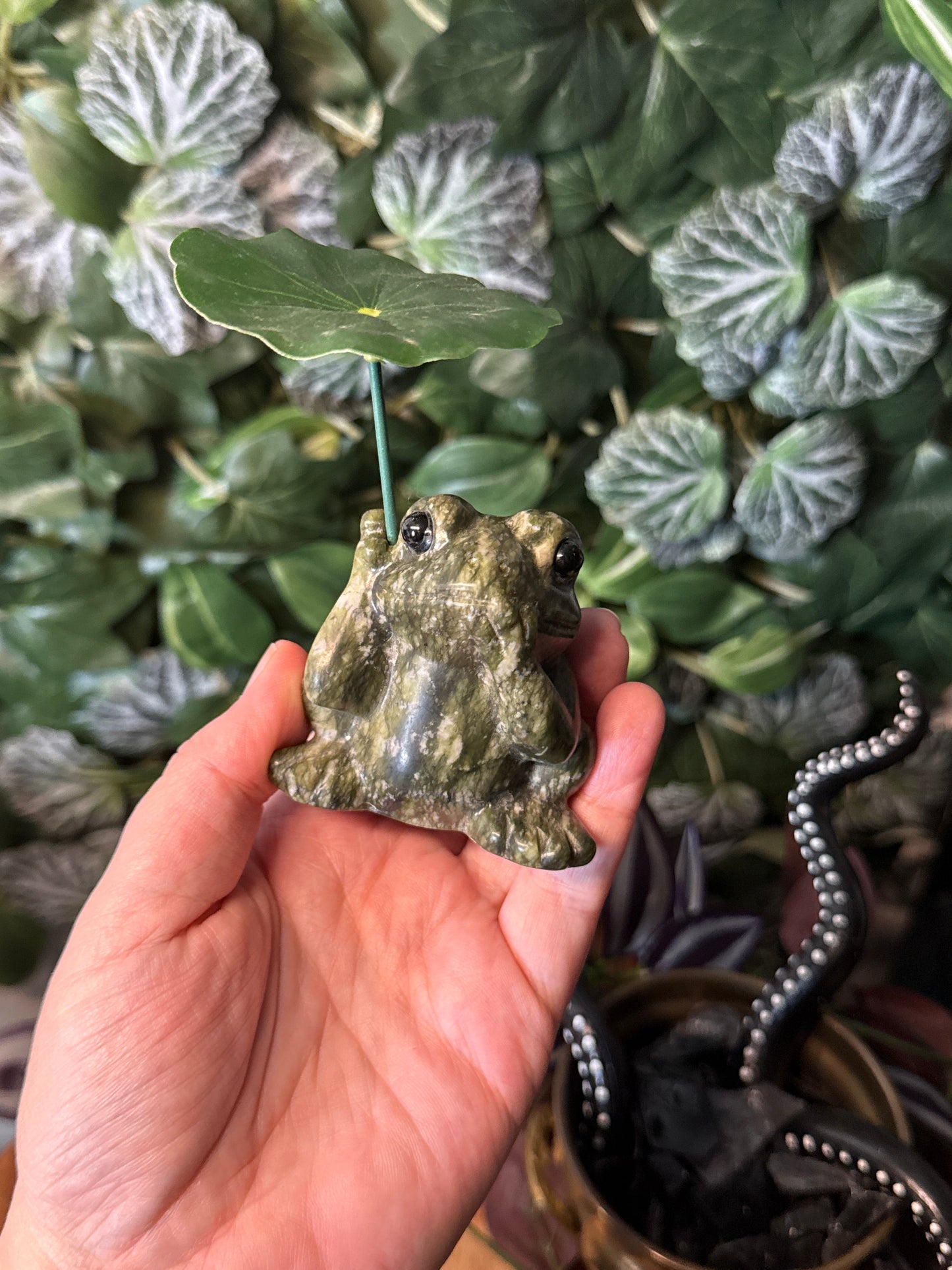 Green jade frog