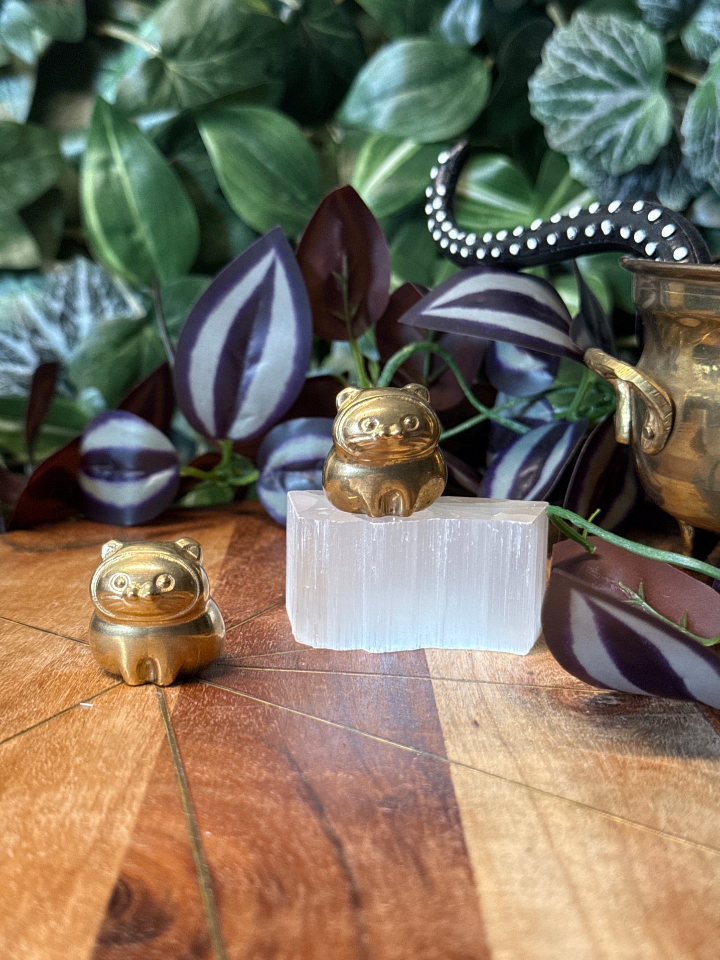 Pyrite kitty