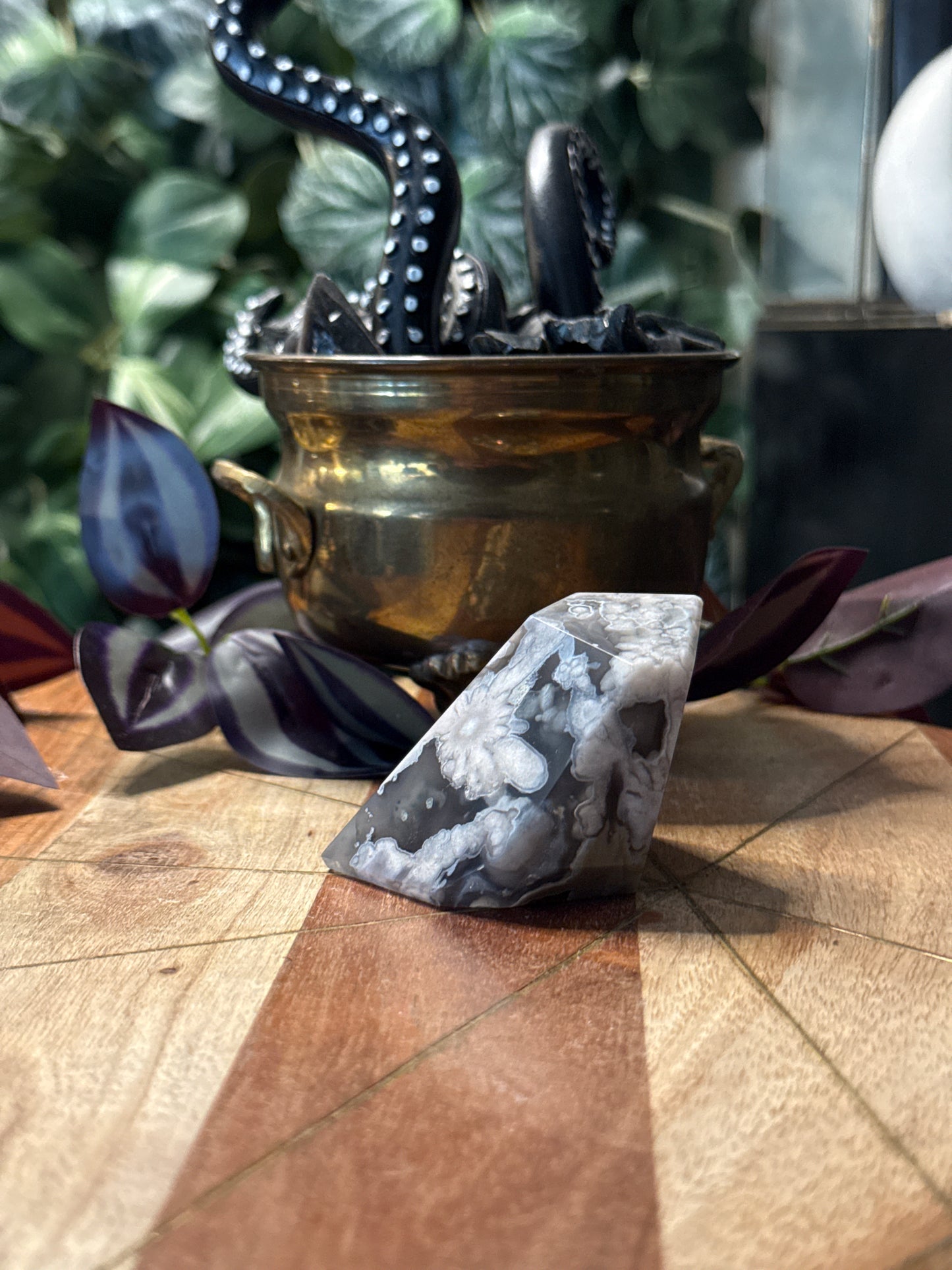 Black Flower Agate Freeforms