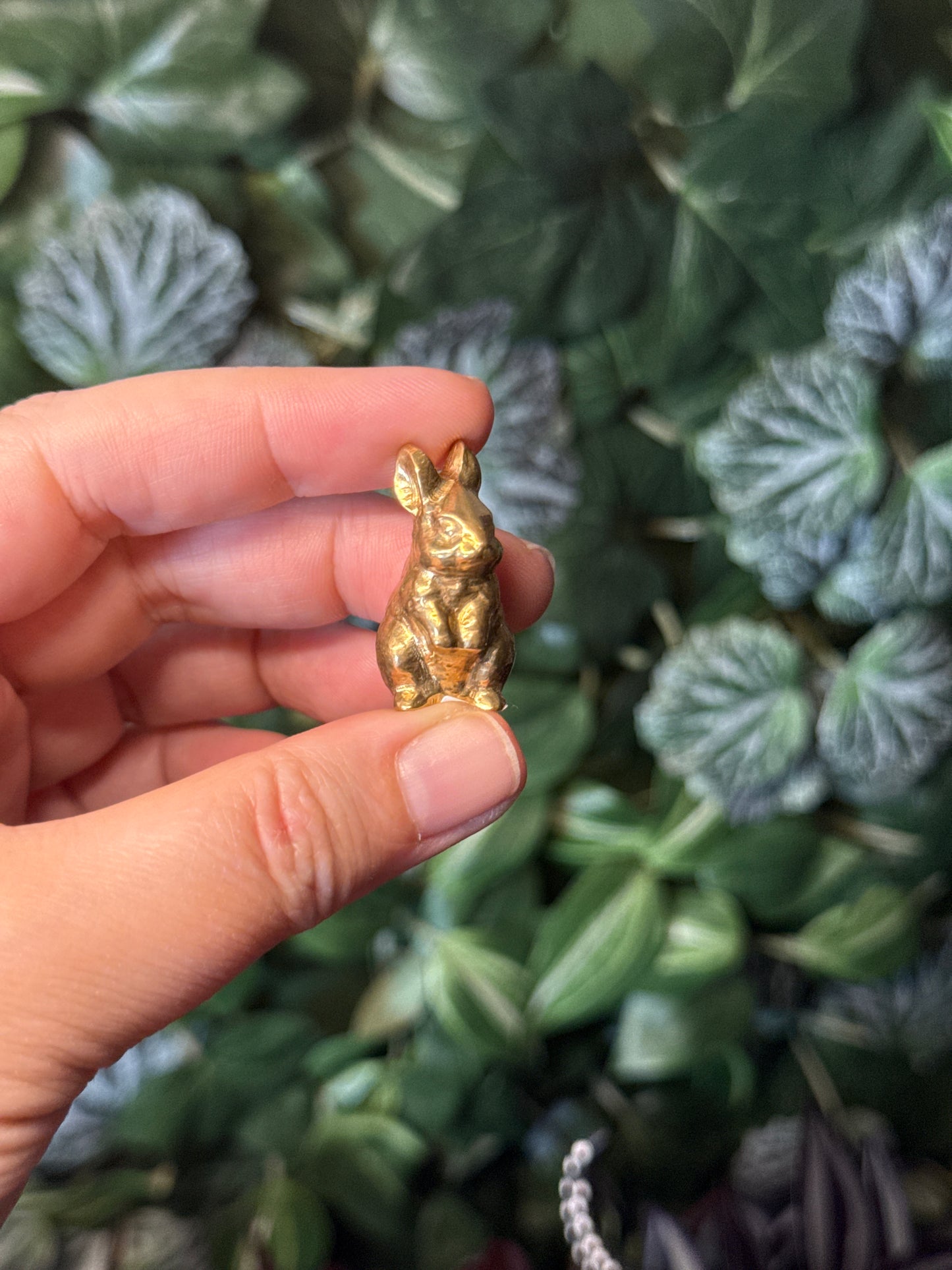 Pyrite rabbit
