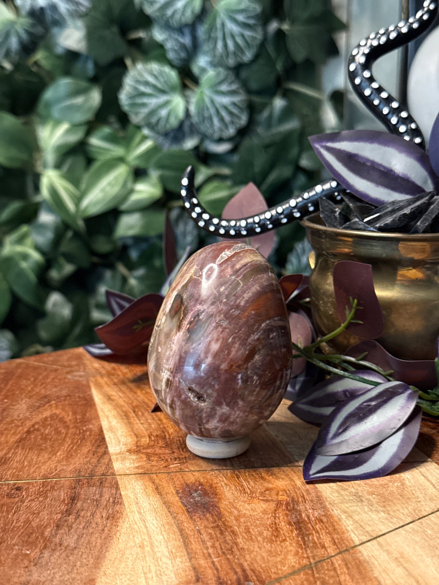 Petrified Wood Egg