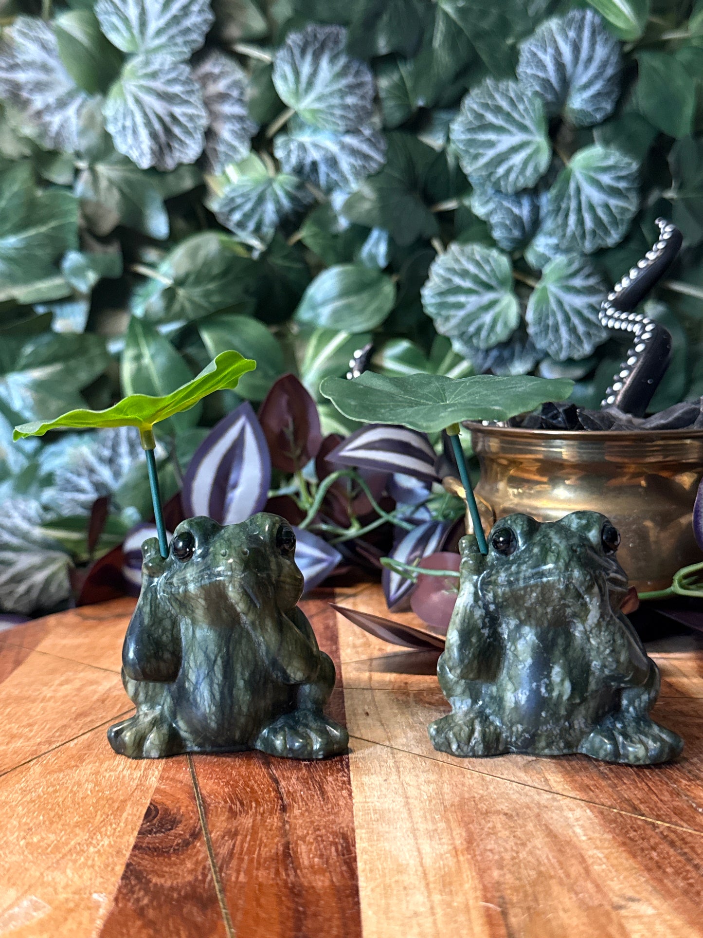 Green jade frog