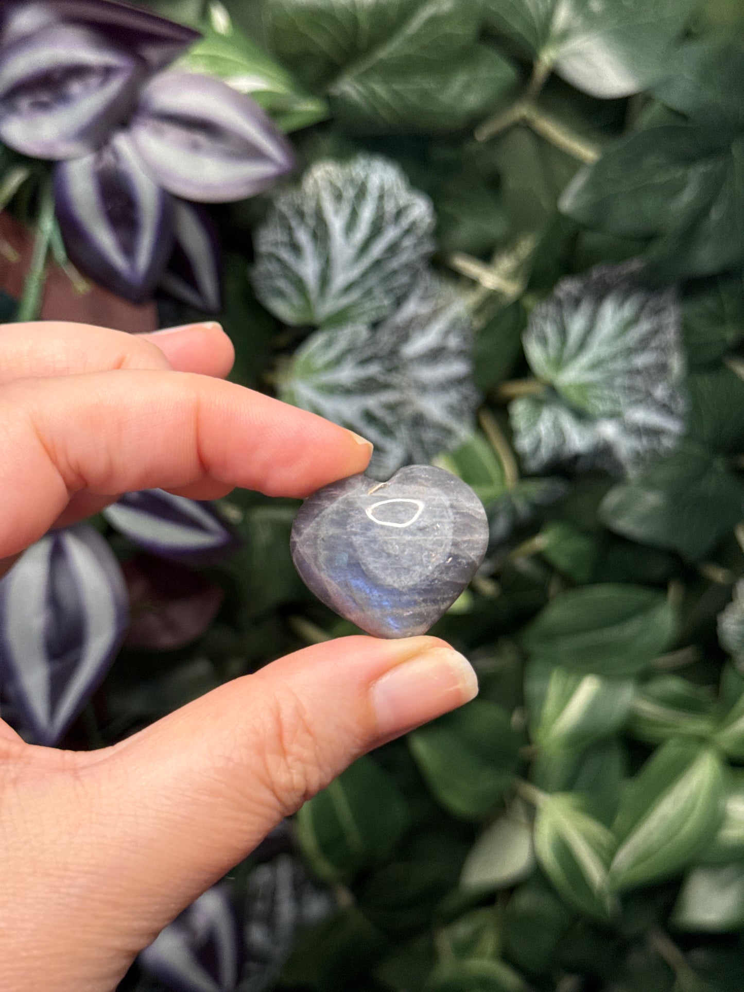 Labradorite hearts