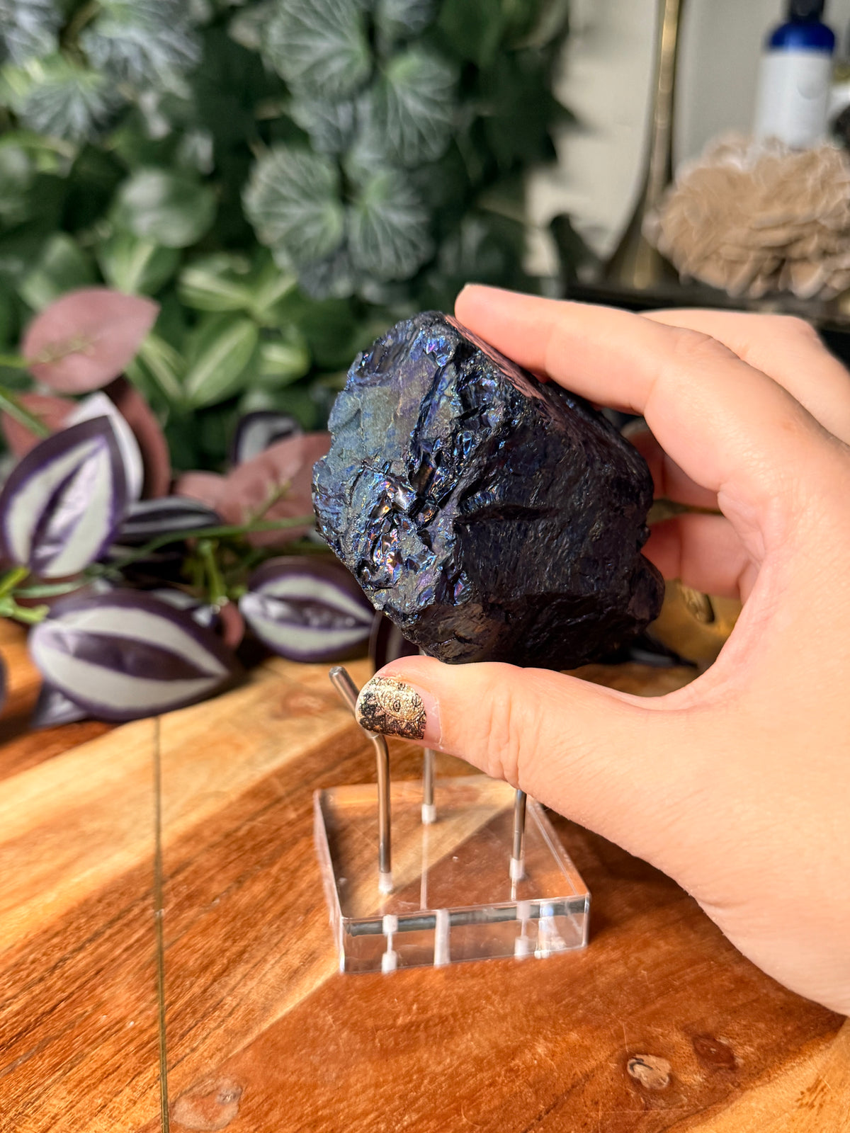 Peacock Coal