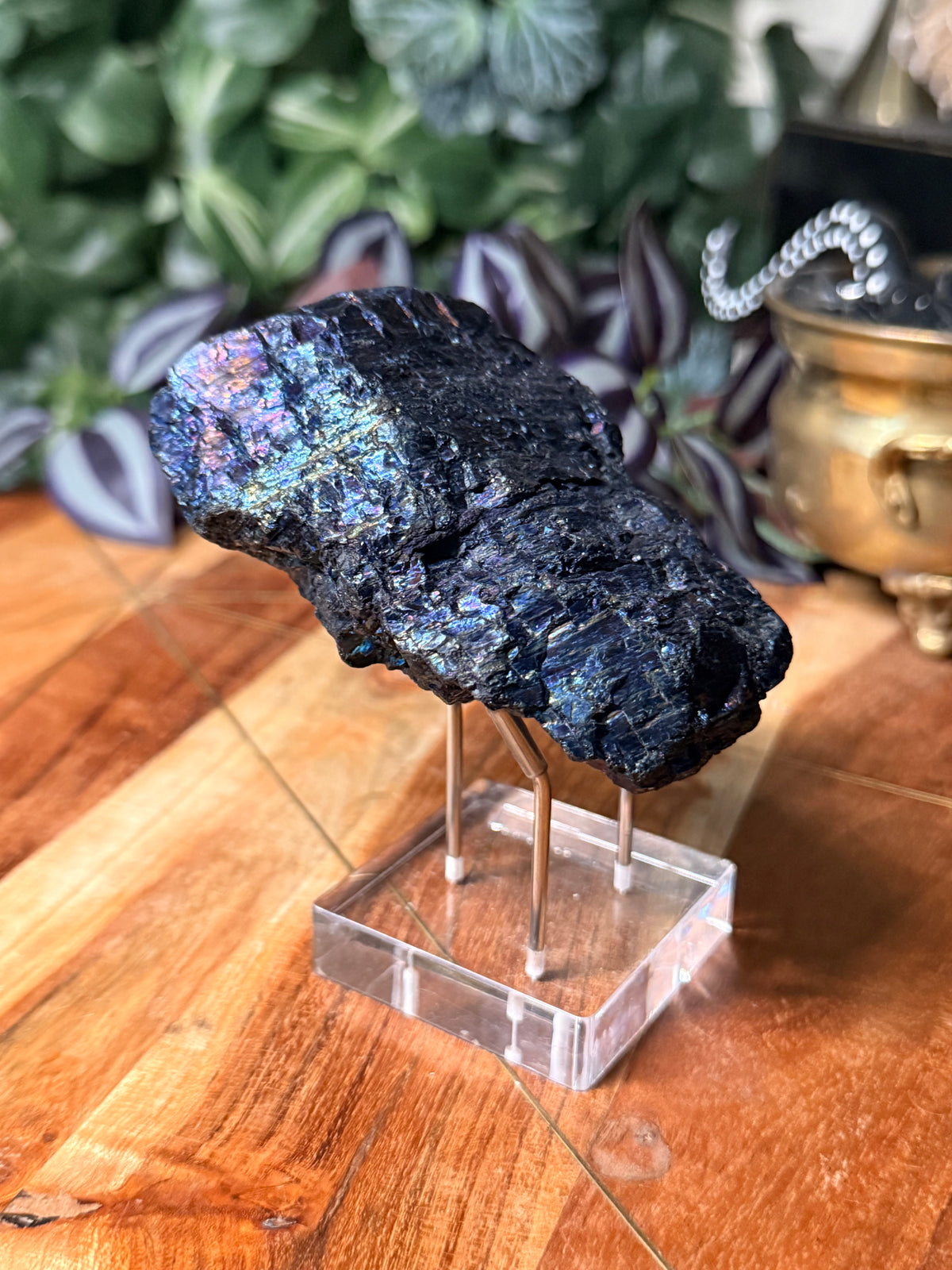Peacock Coal