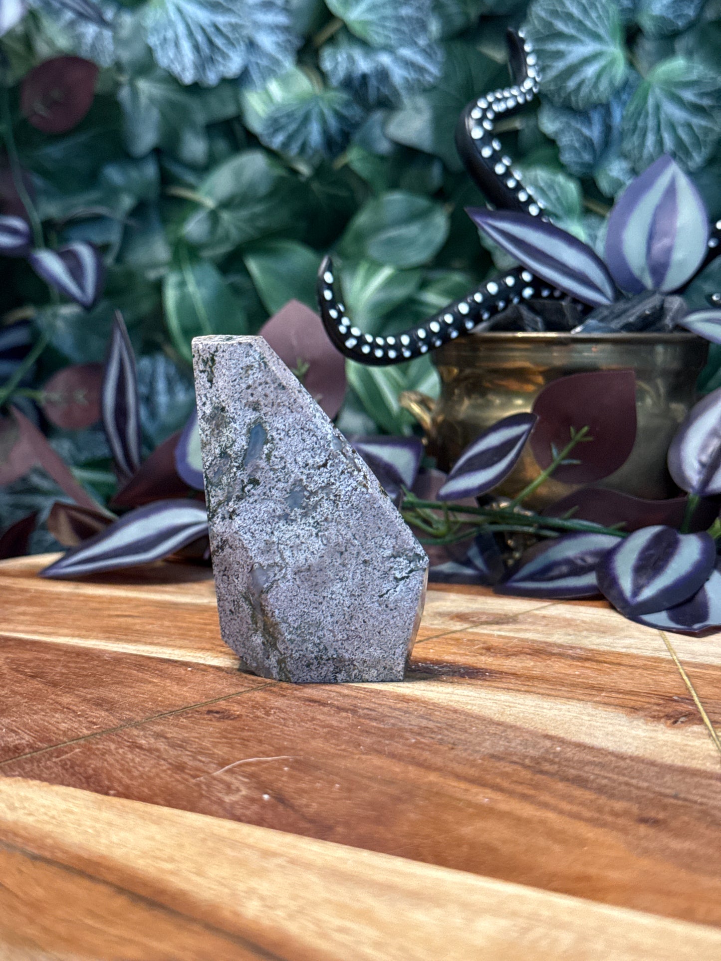 Ocean Jasper Freeform