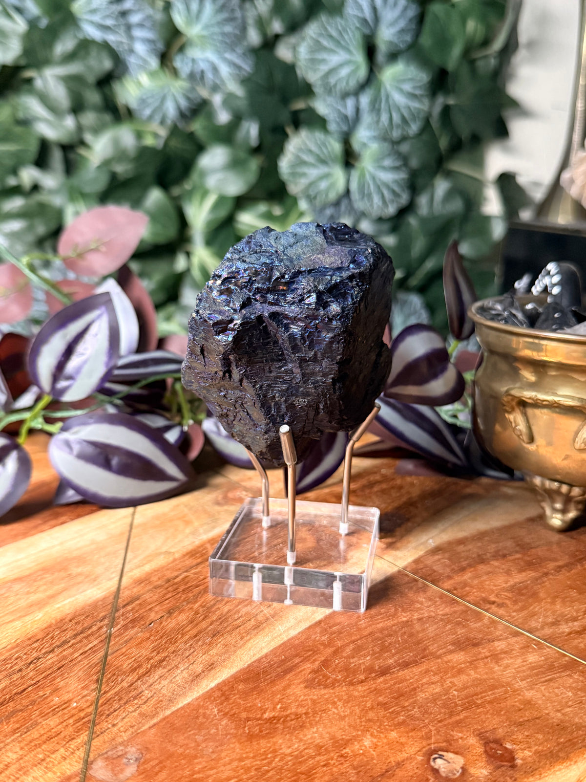 Peacock Coal