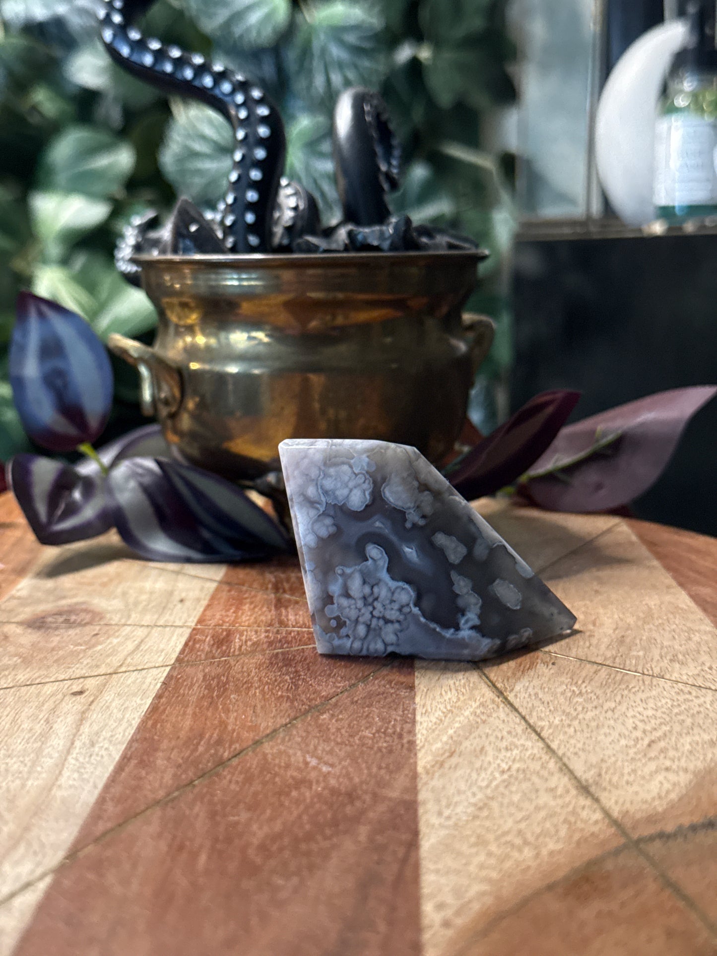 Black Flower Agate Freeforms