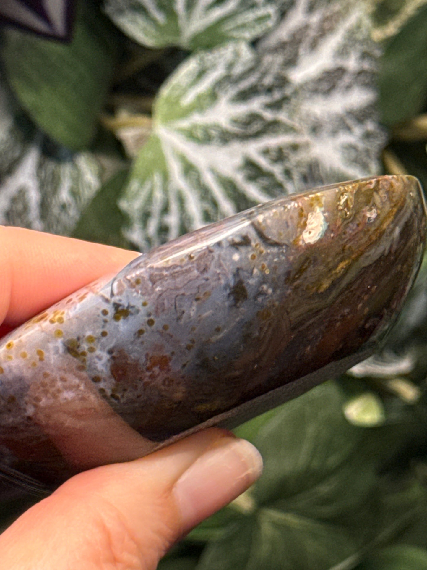 Ocean Jasper Bowl