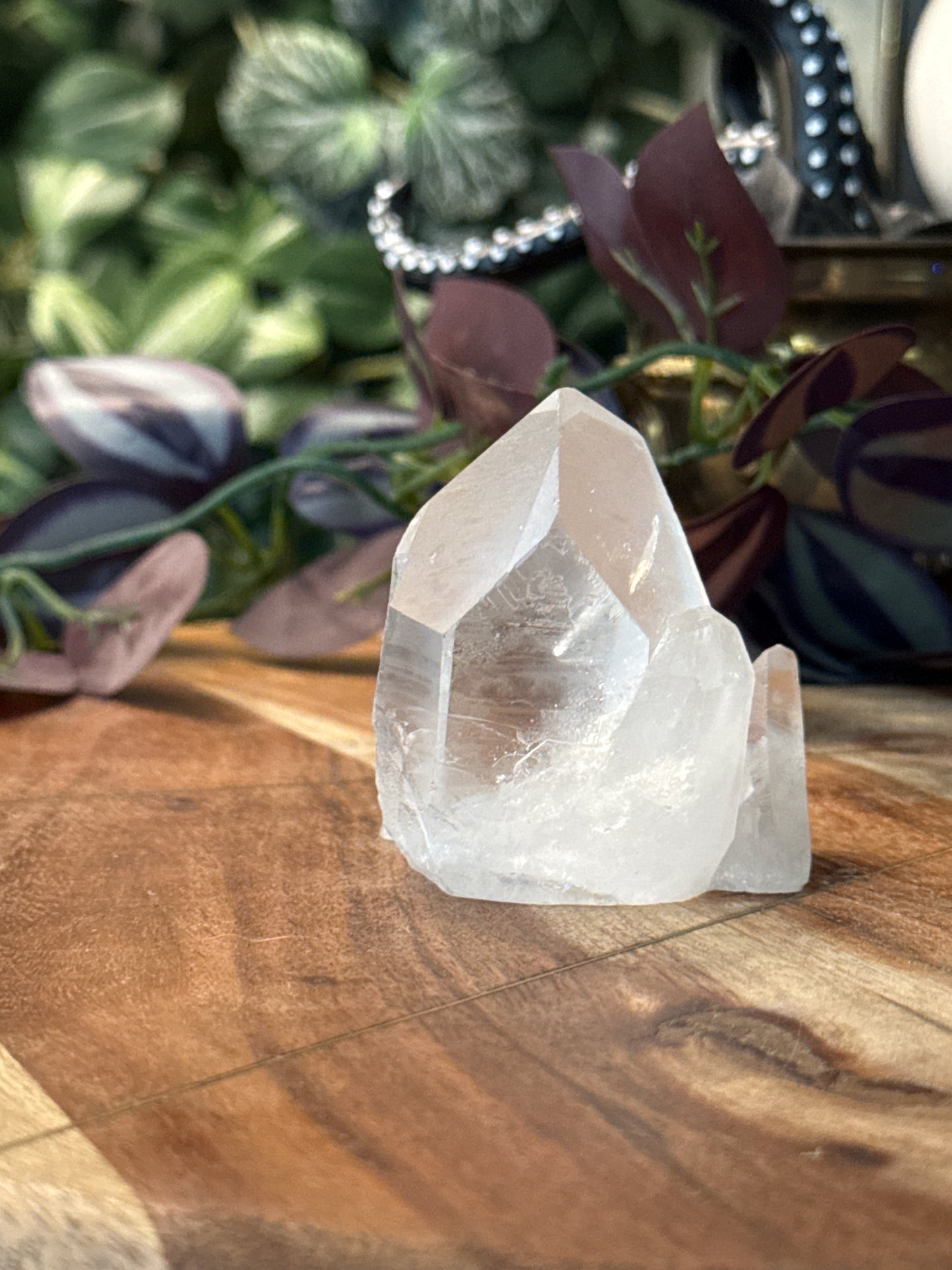 Clear Quartz Cluster