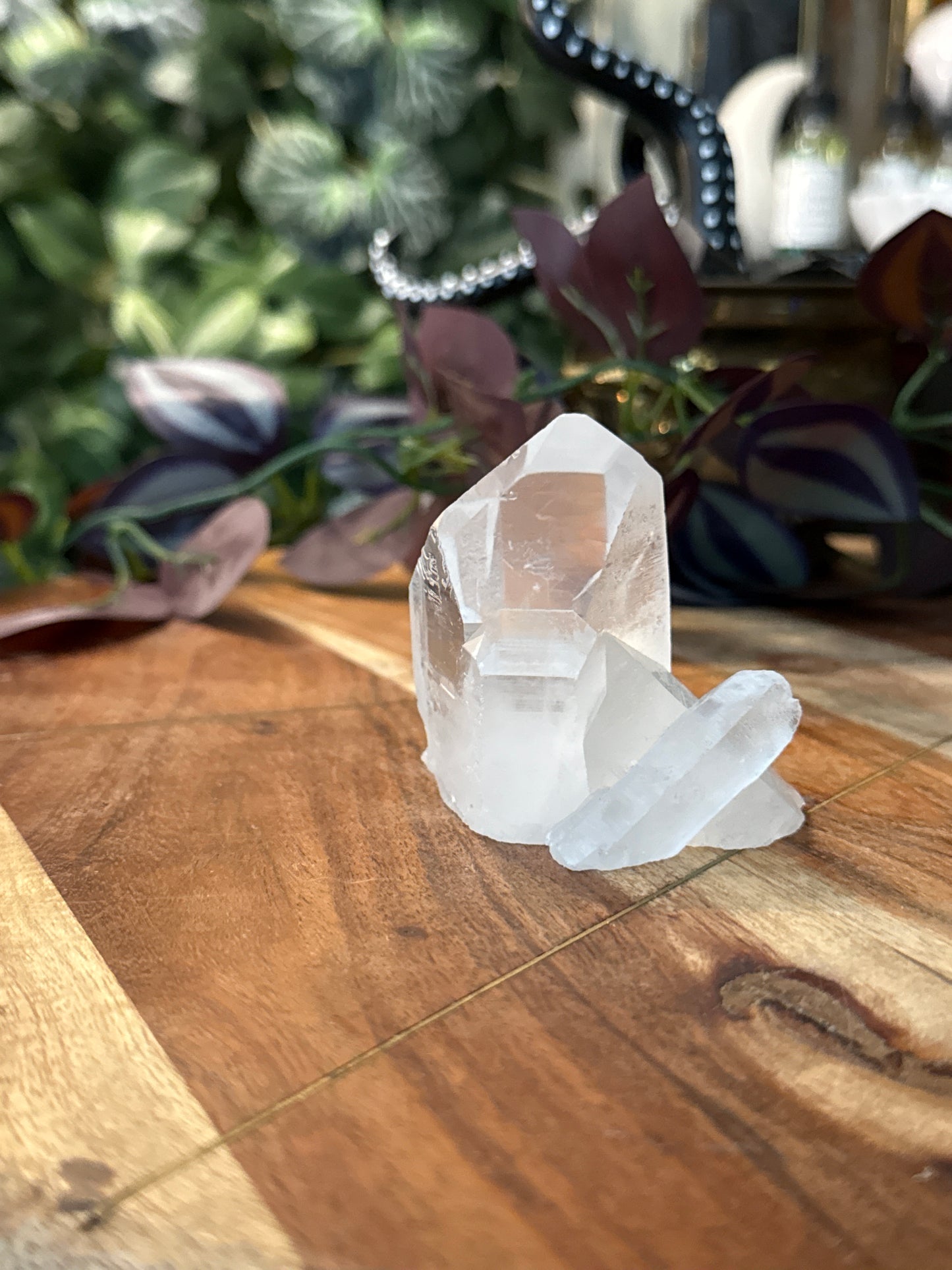 Clear Quartz Cluster