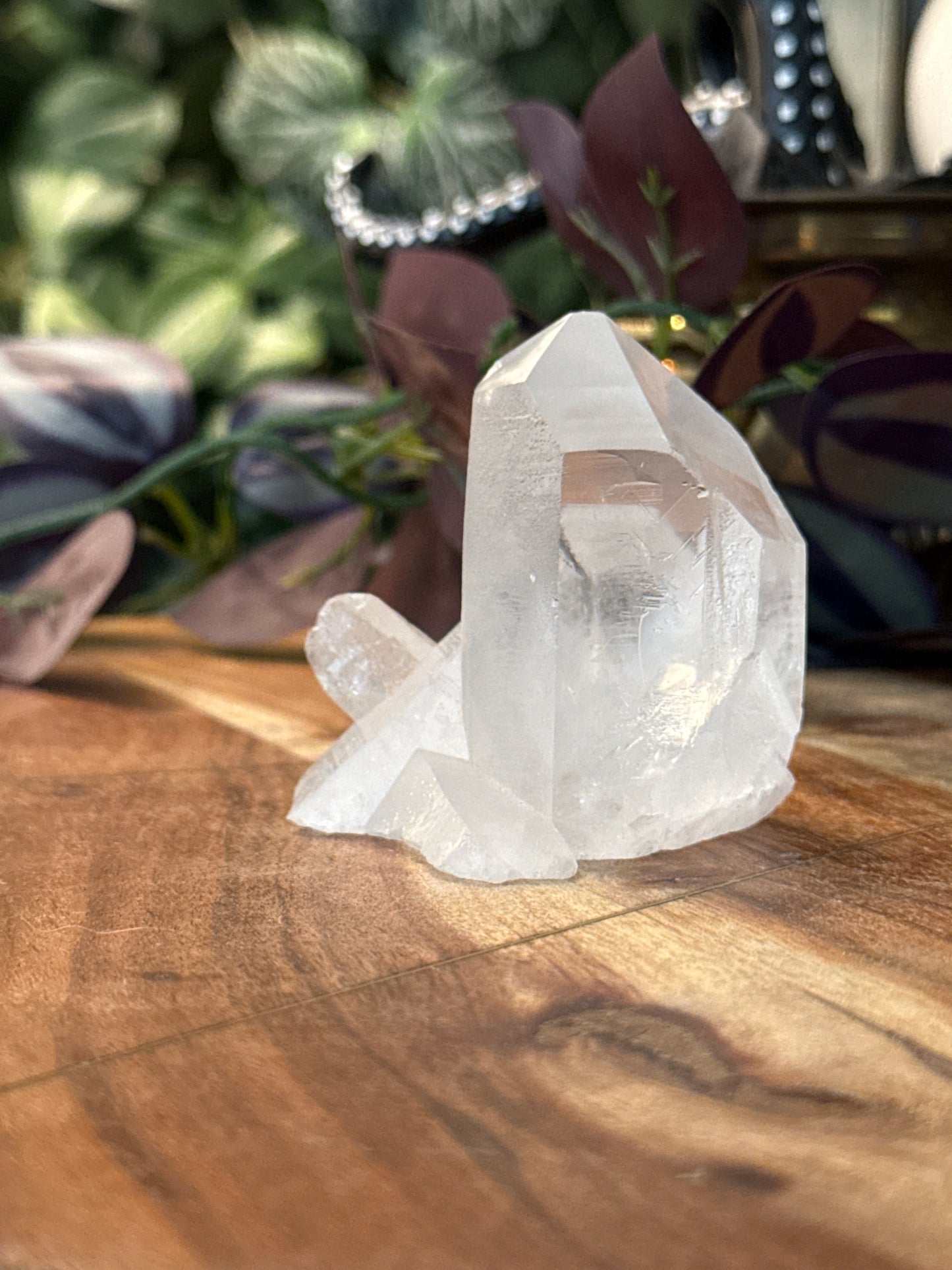 Clear Quartz Cluster