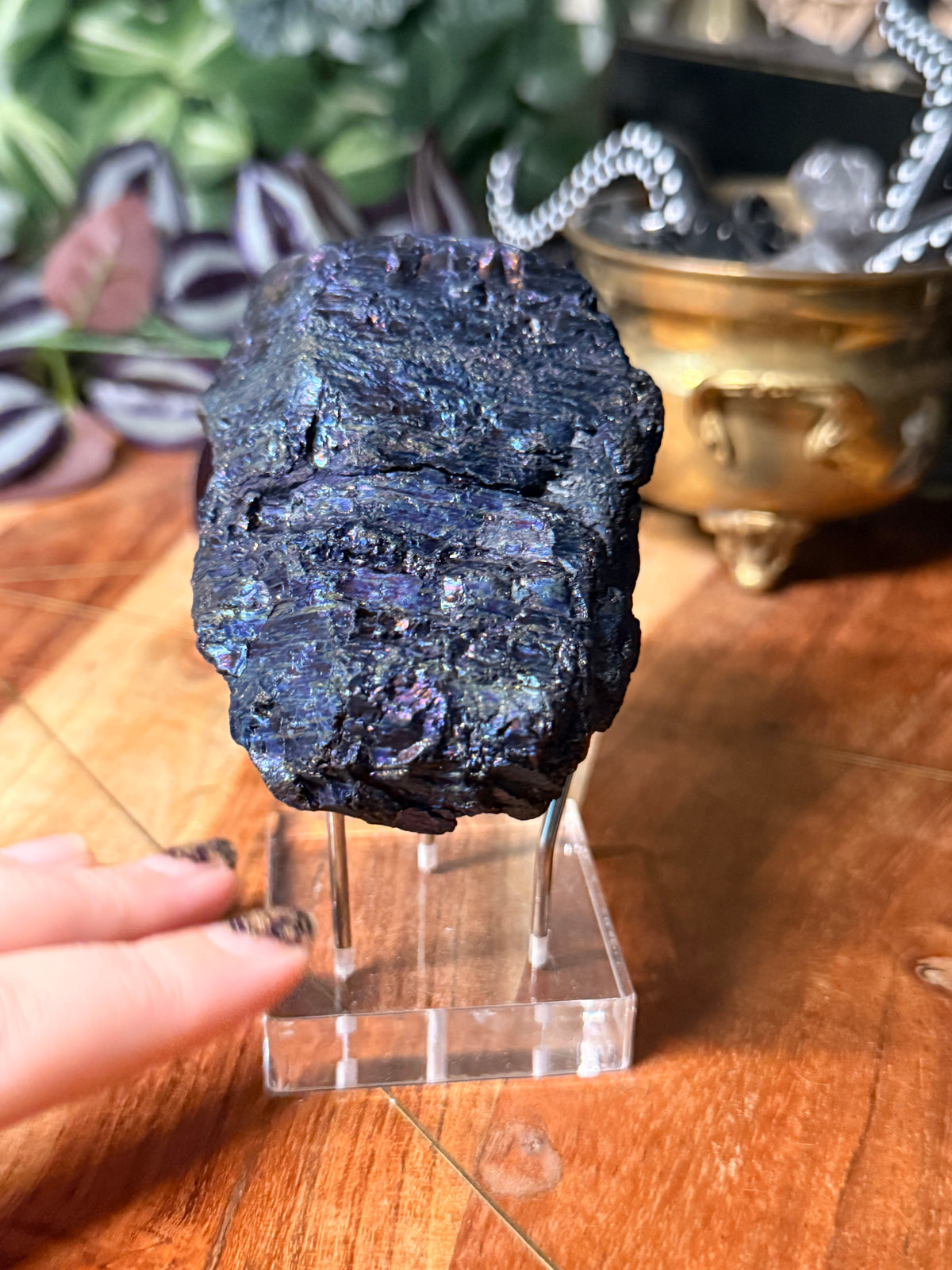 Peacock Coal