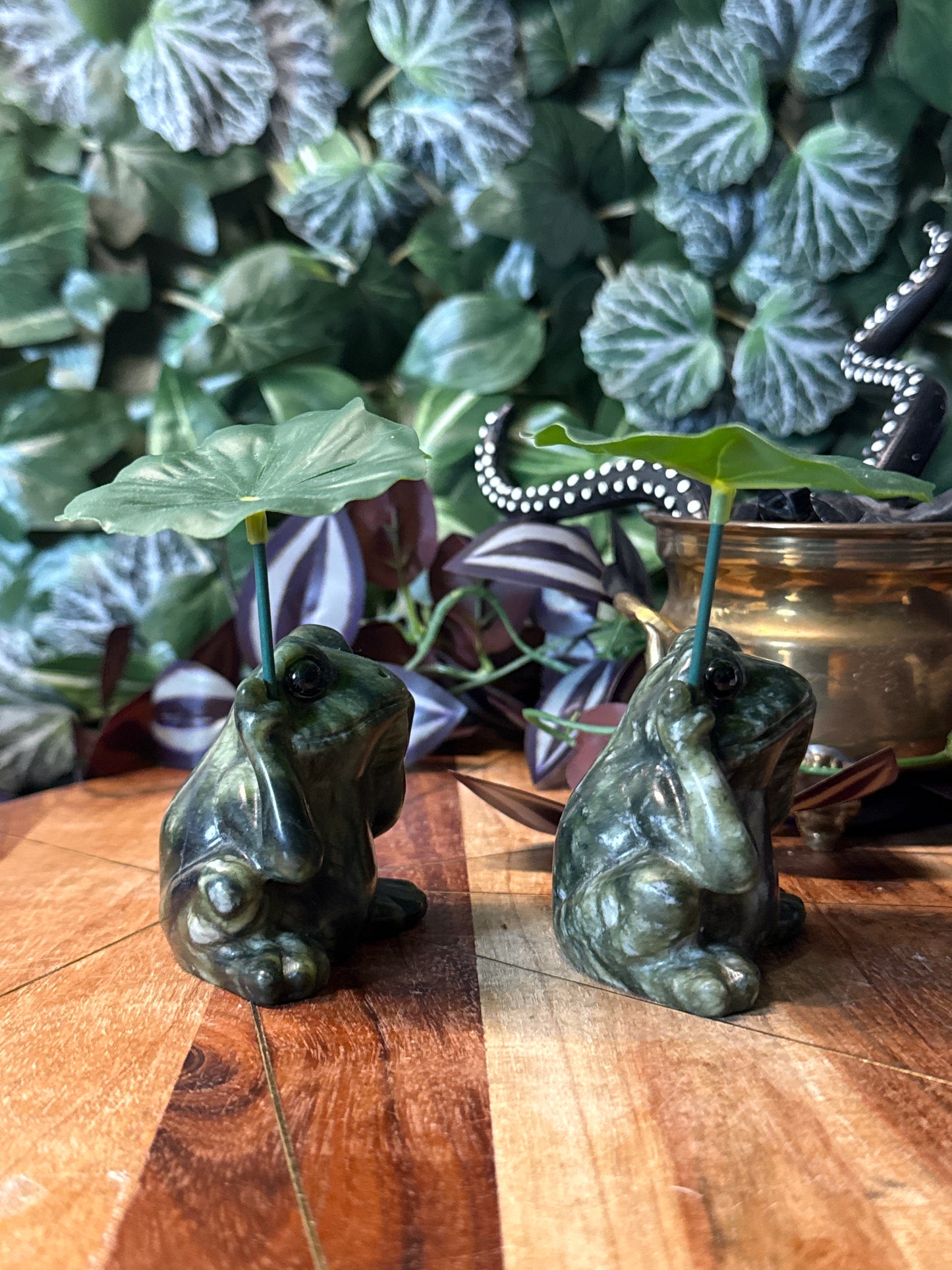 Green jade frog