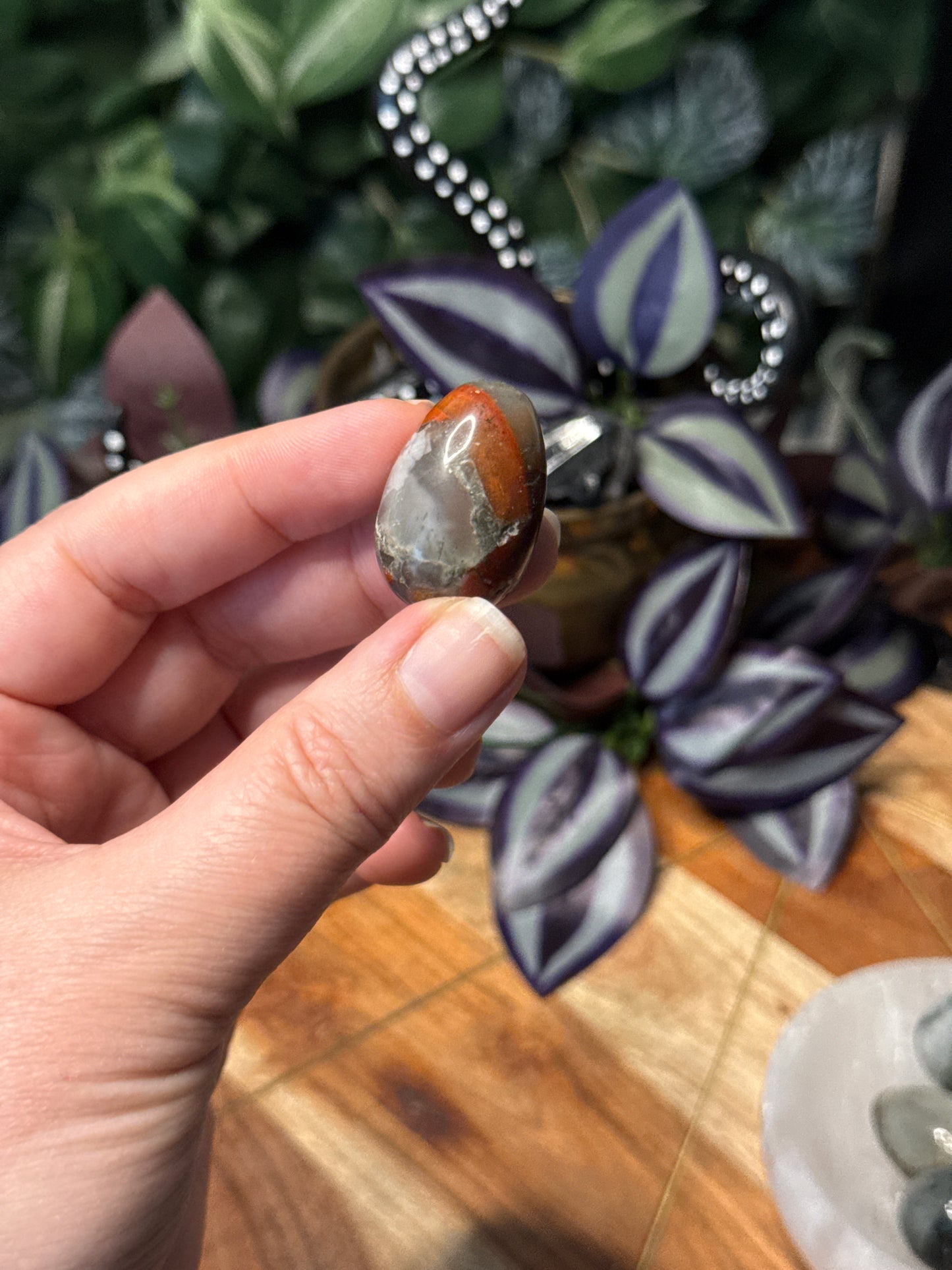 African Bloodstone Eggs