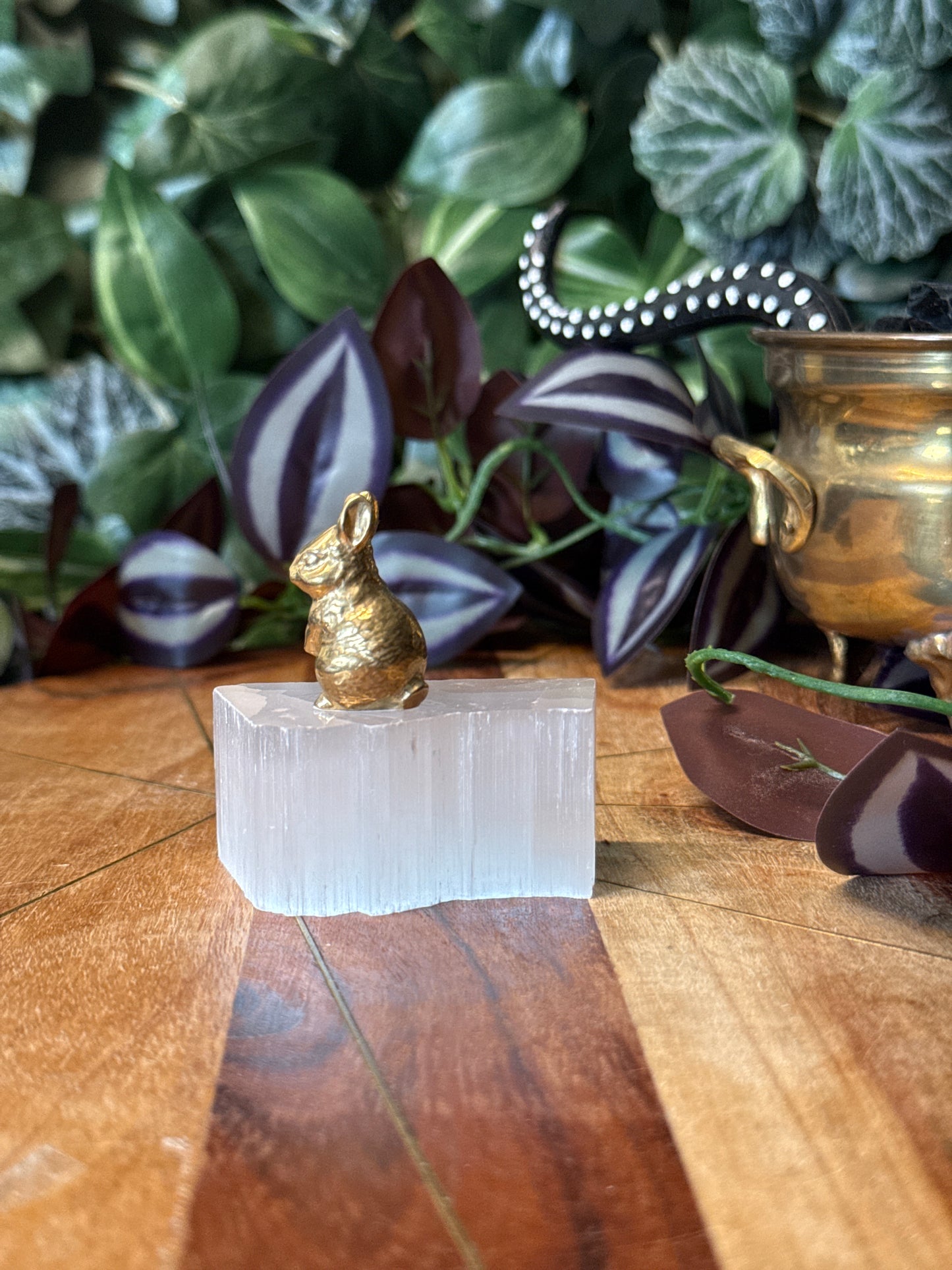 Pyrite rabbit