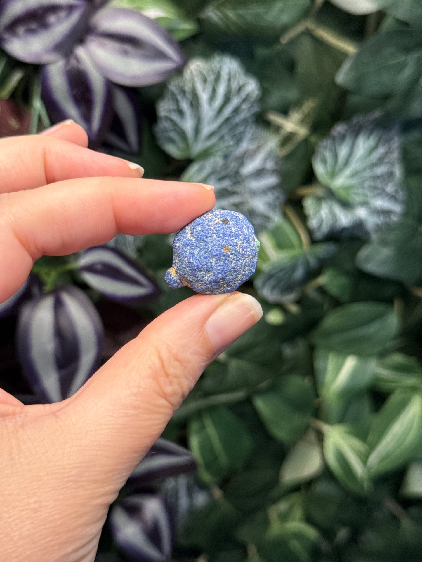Azurite Blueberries