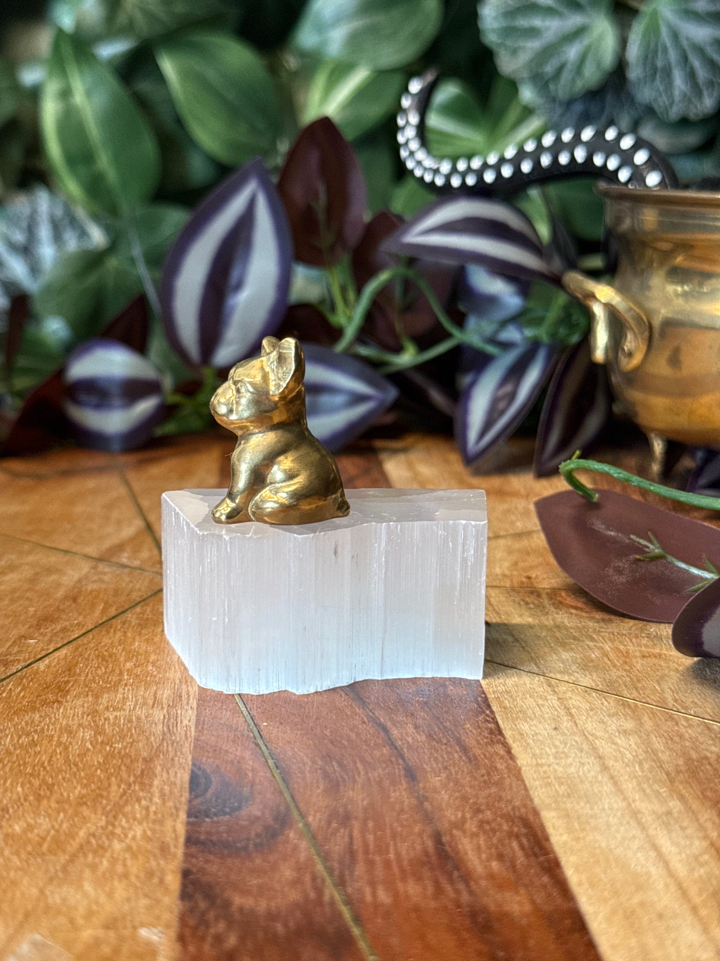 Pyrite frenchie