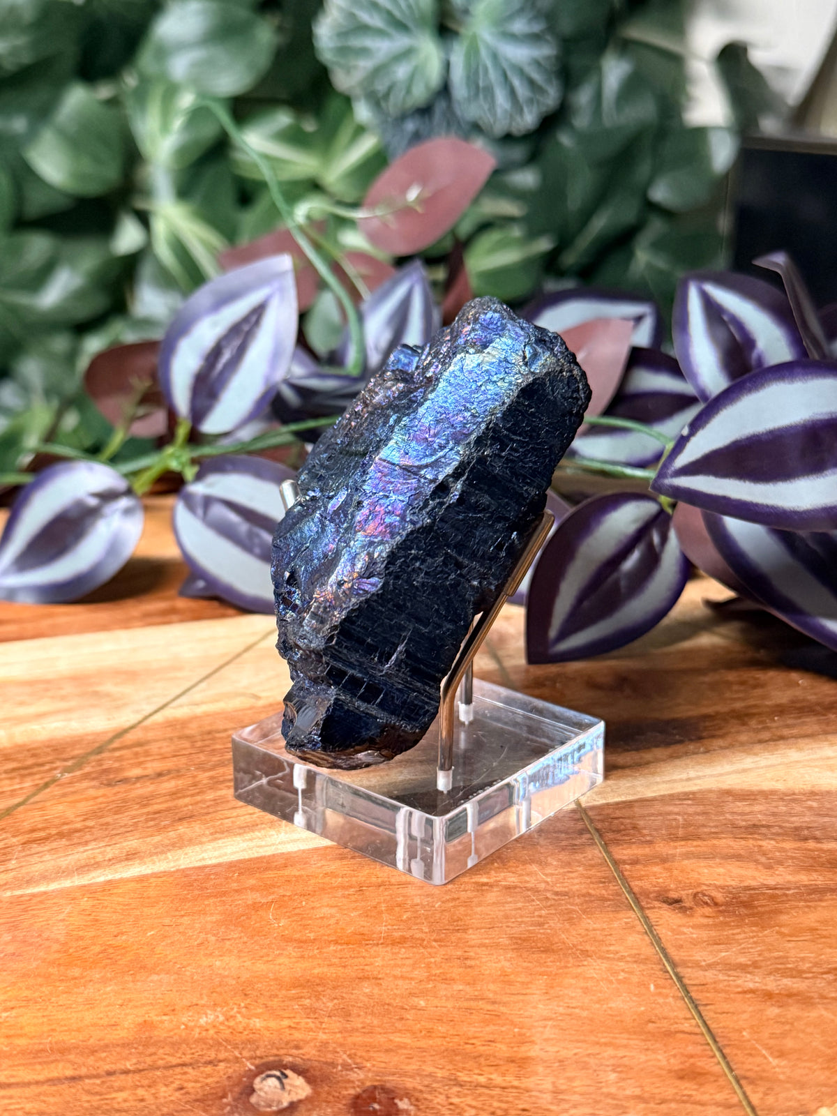 Peacock Coal