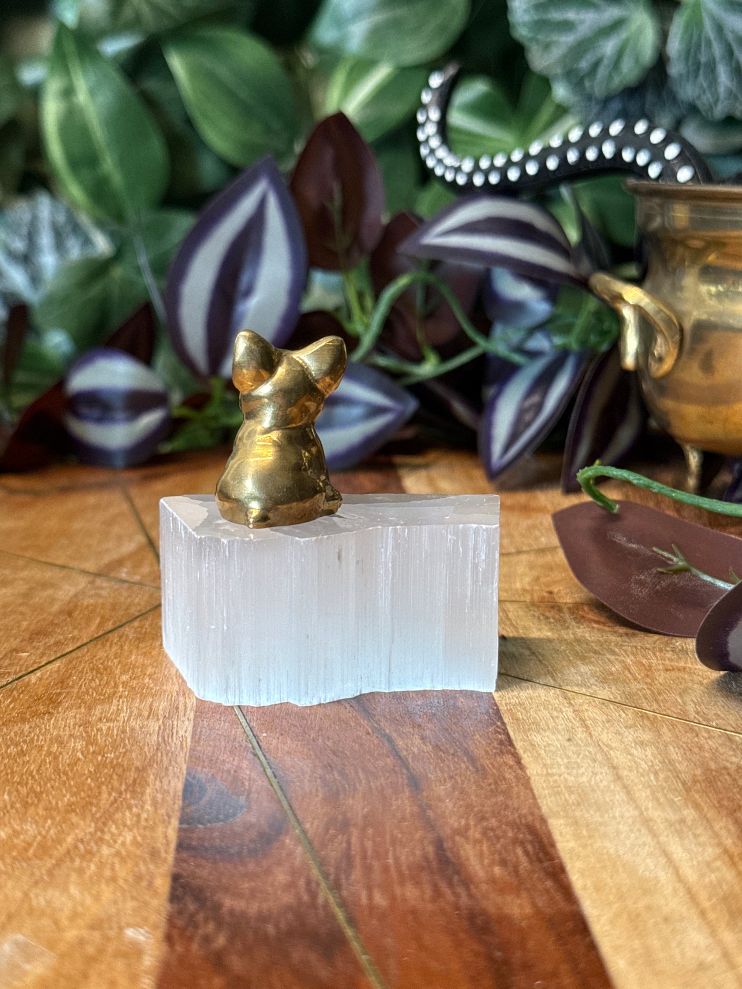 Pyrite frenchie