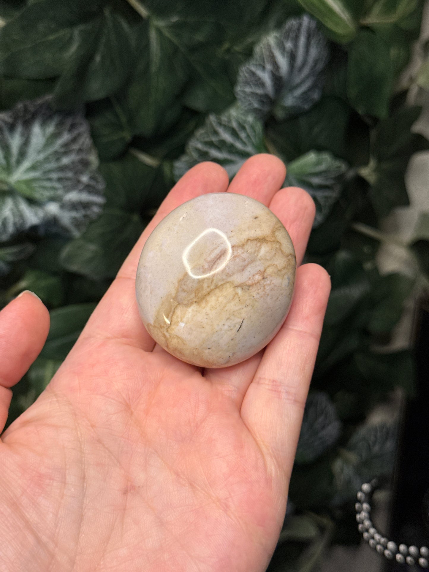 Ocean Jasper Palm Stones
