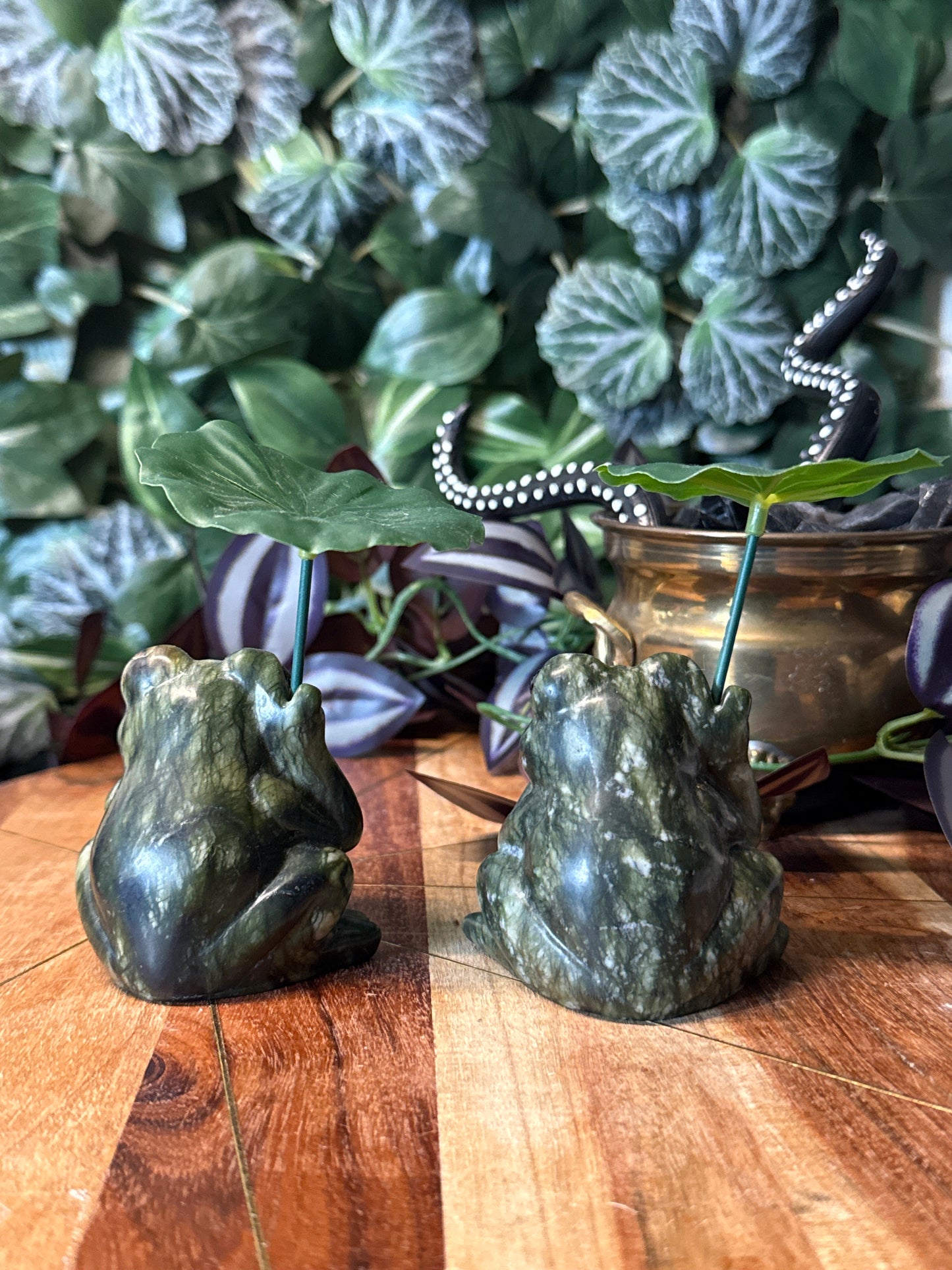 Green jade frog