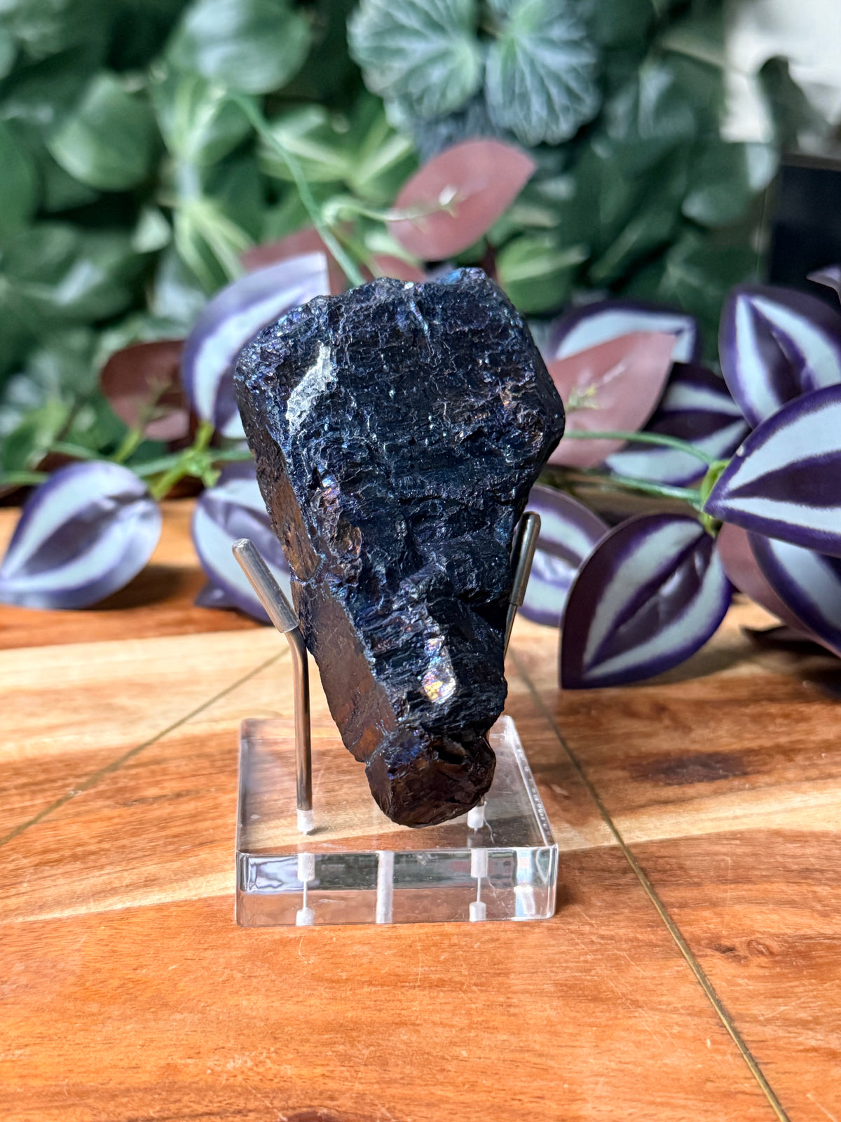 Peacock Coal