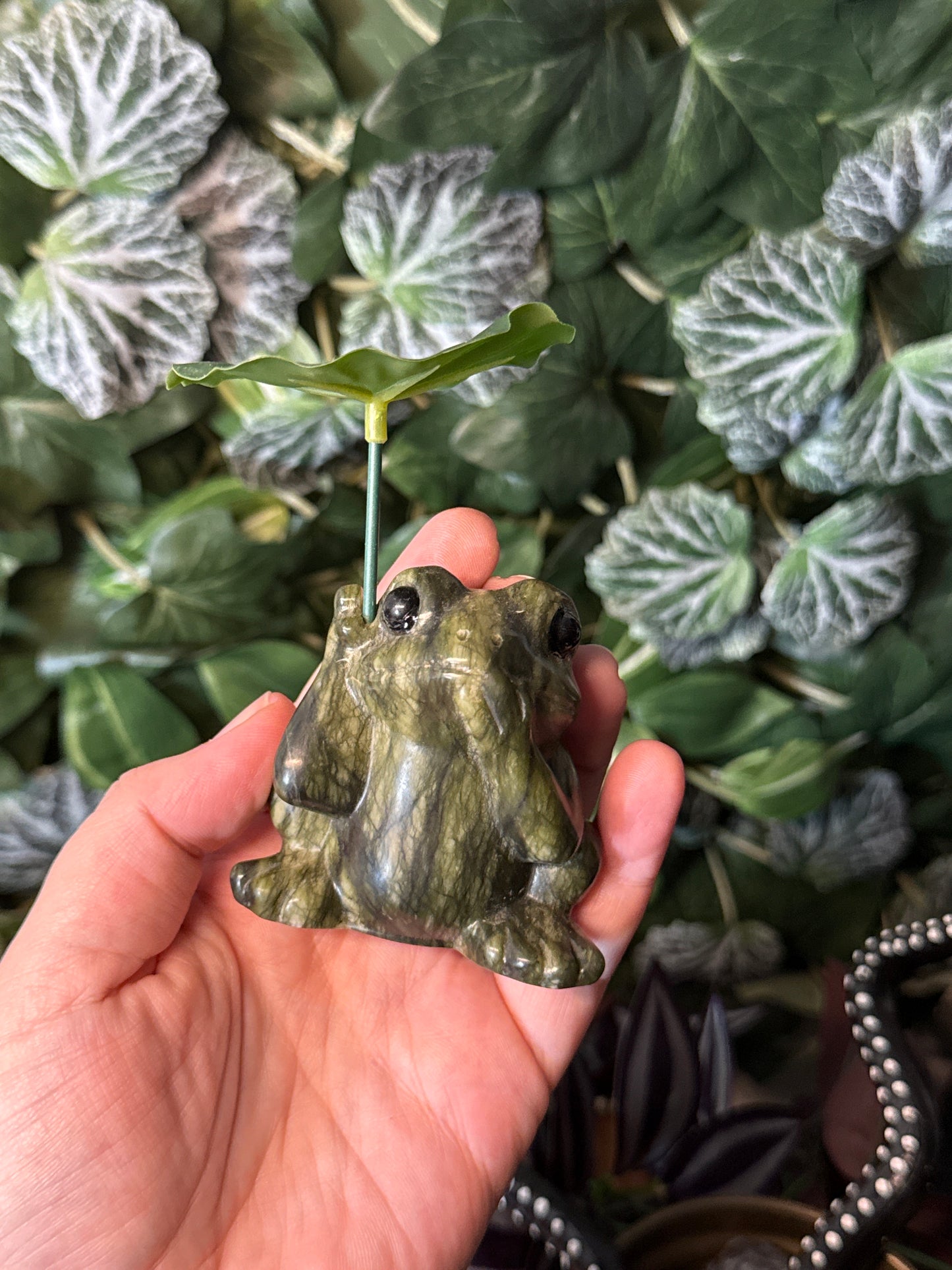 Green jade frog