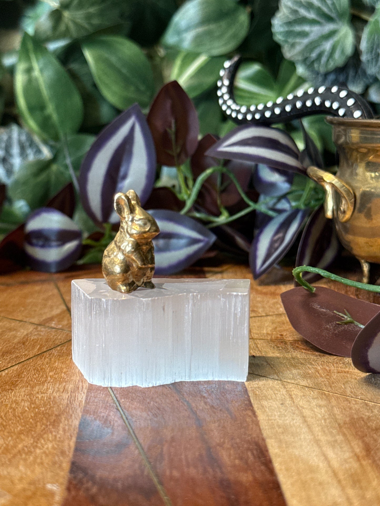 Pyrite rabbit