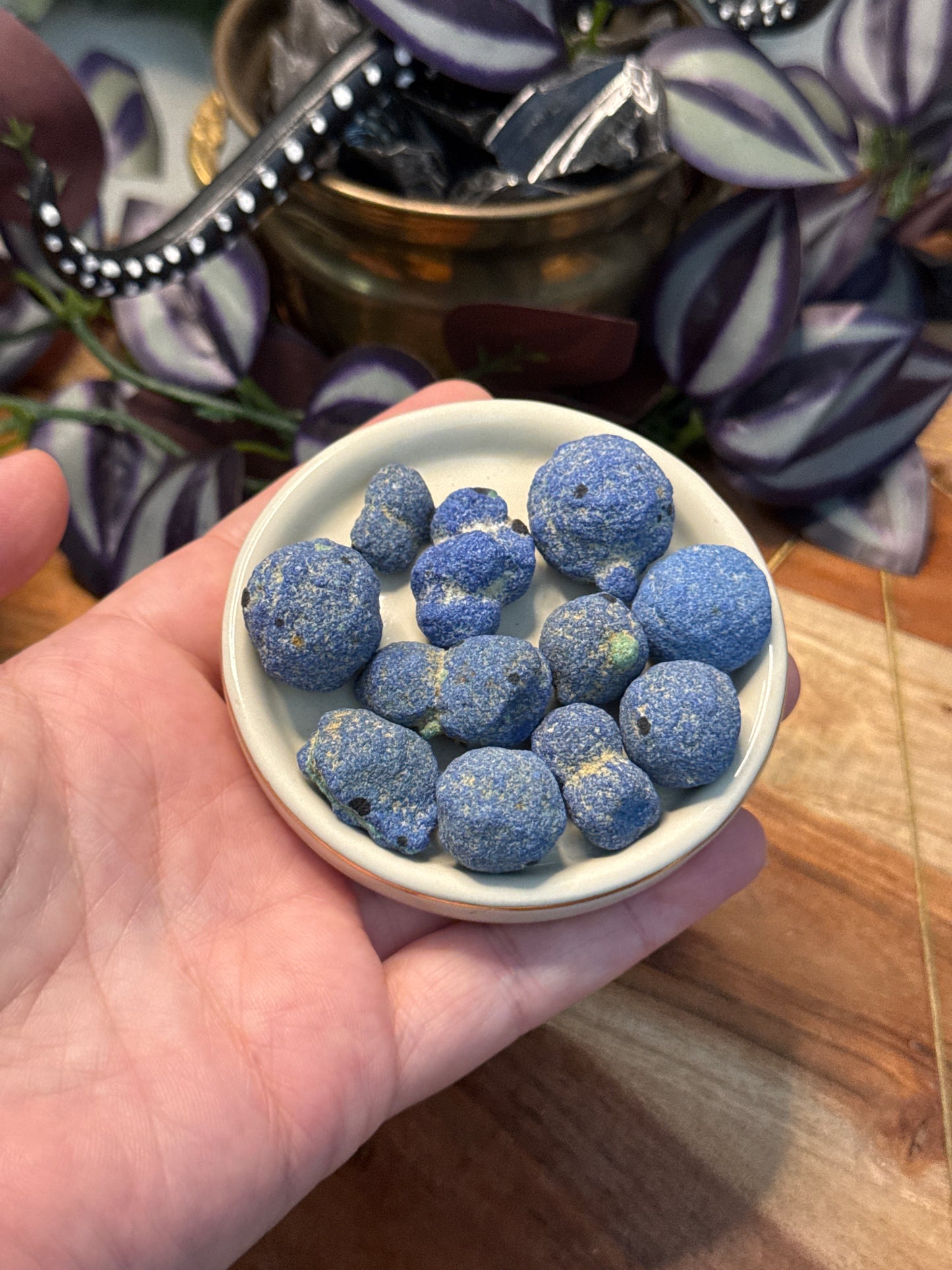 Azurite Blueberries