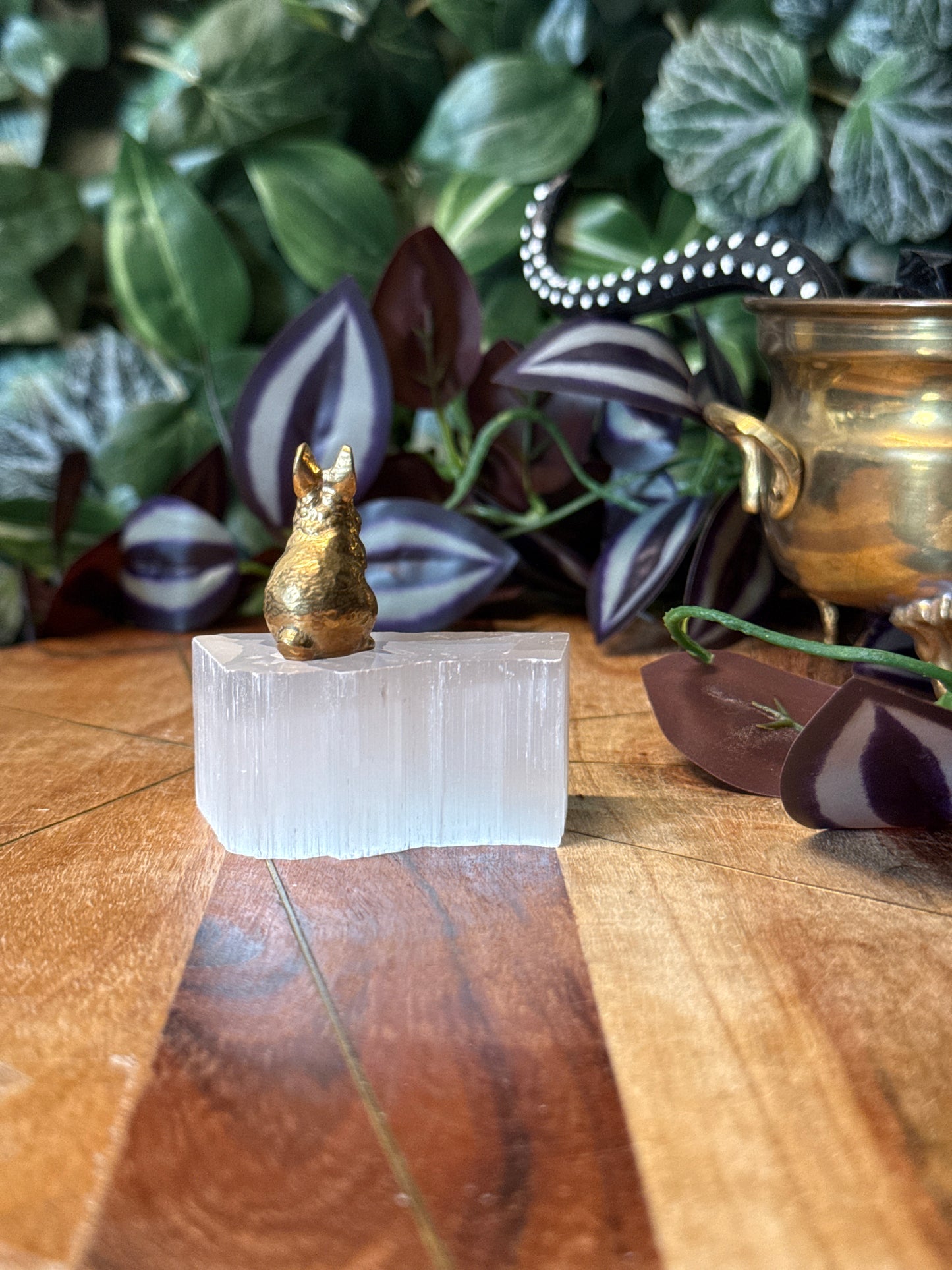 Pyrite rabbit