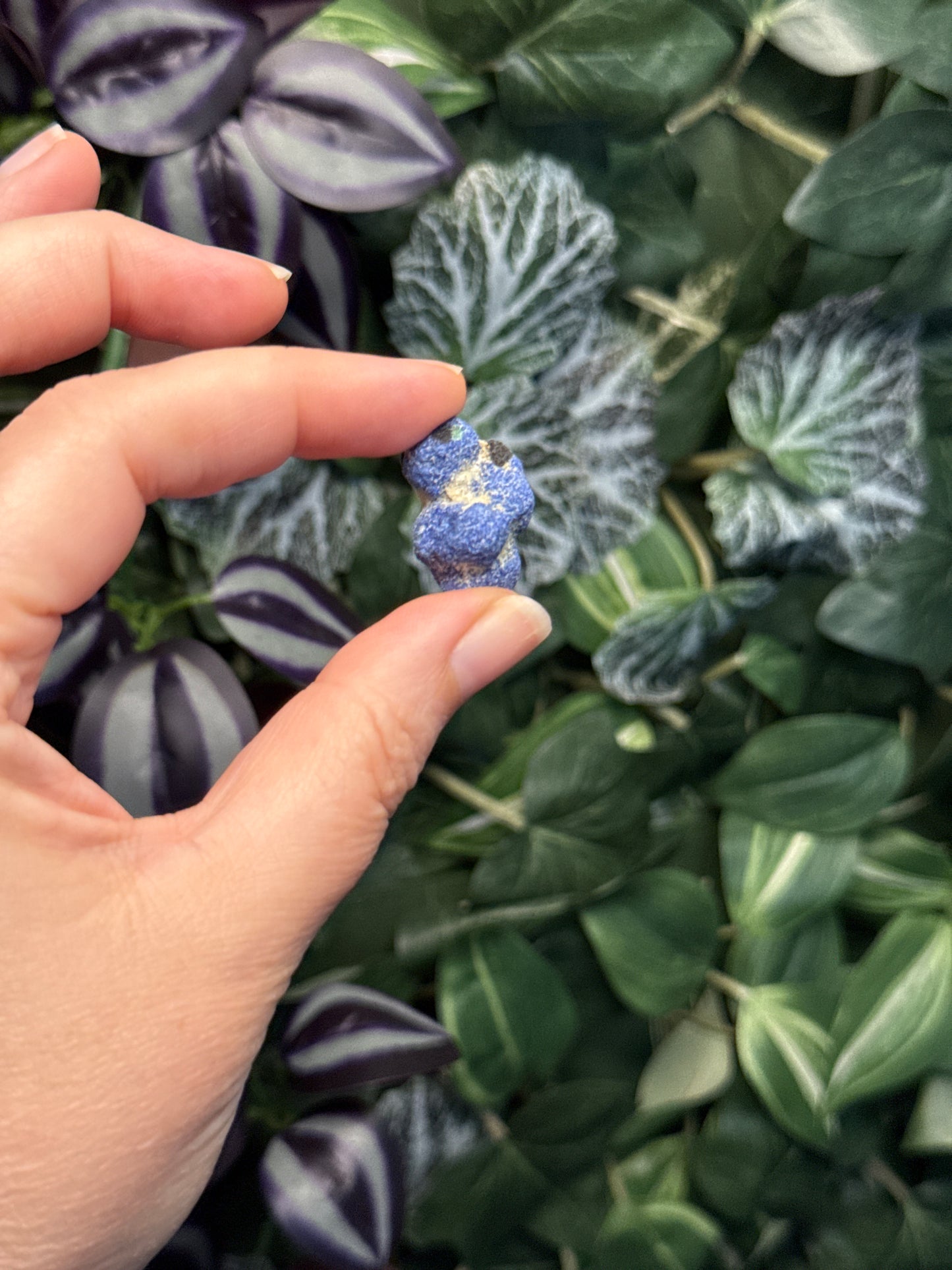 Azurite Blueberries