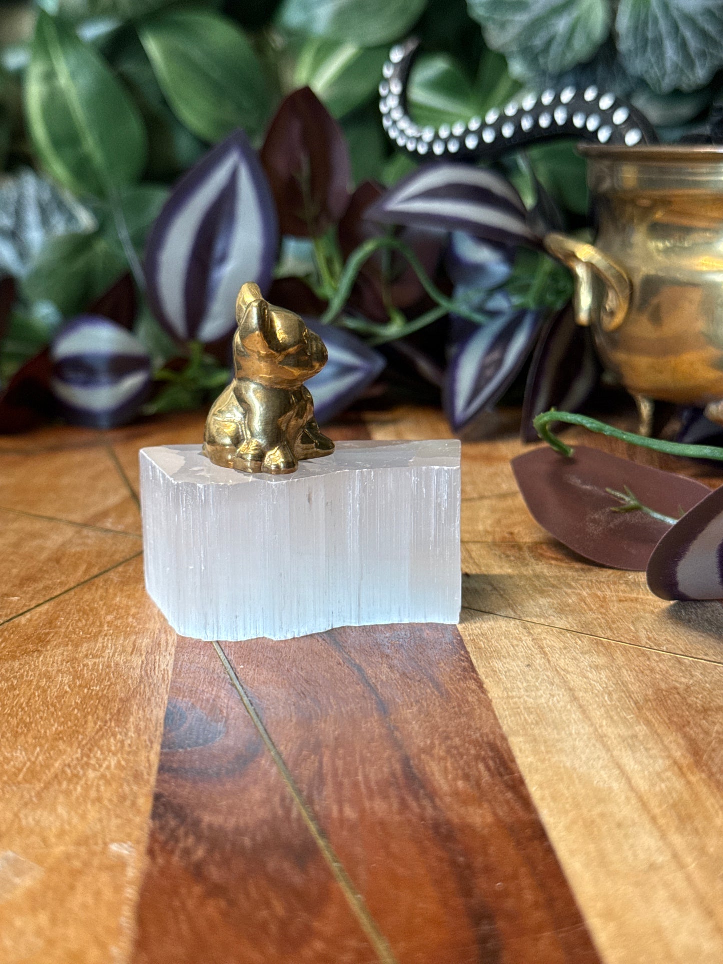 Pyrite frenchie