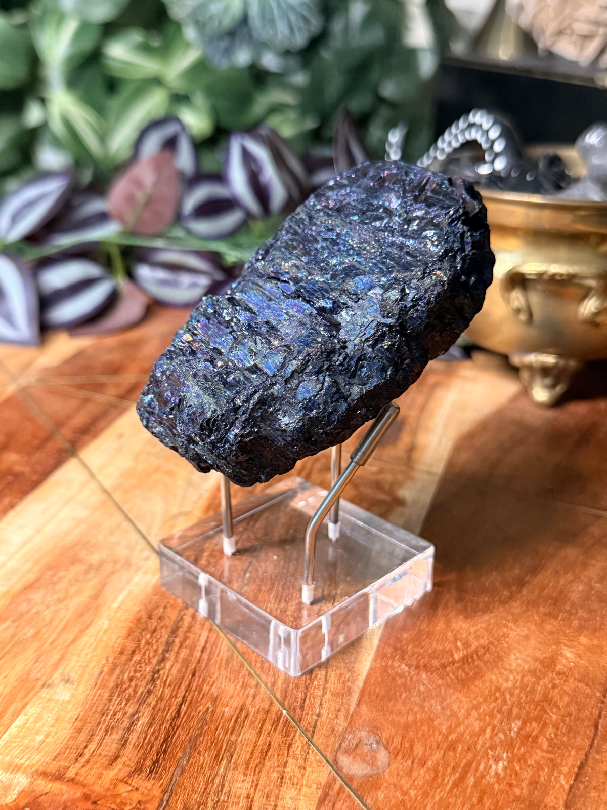 Peacock Coal