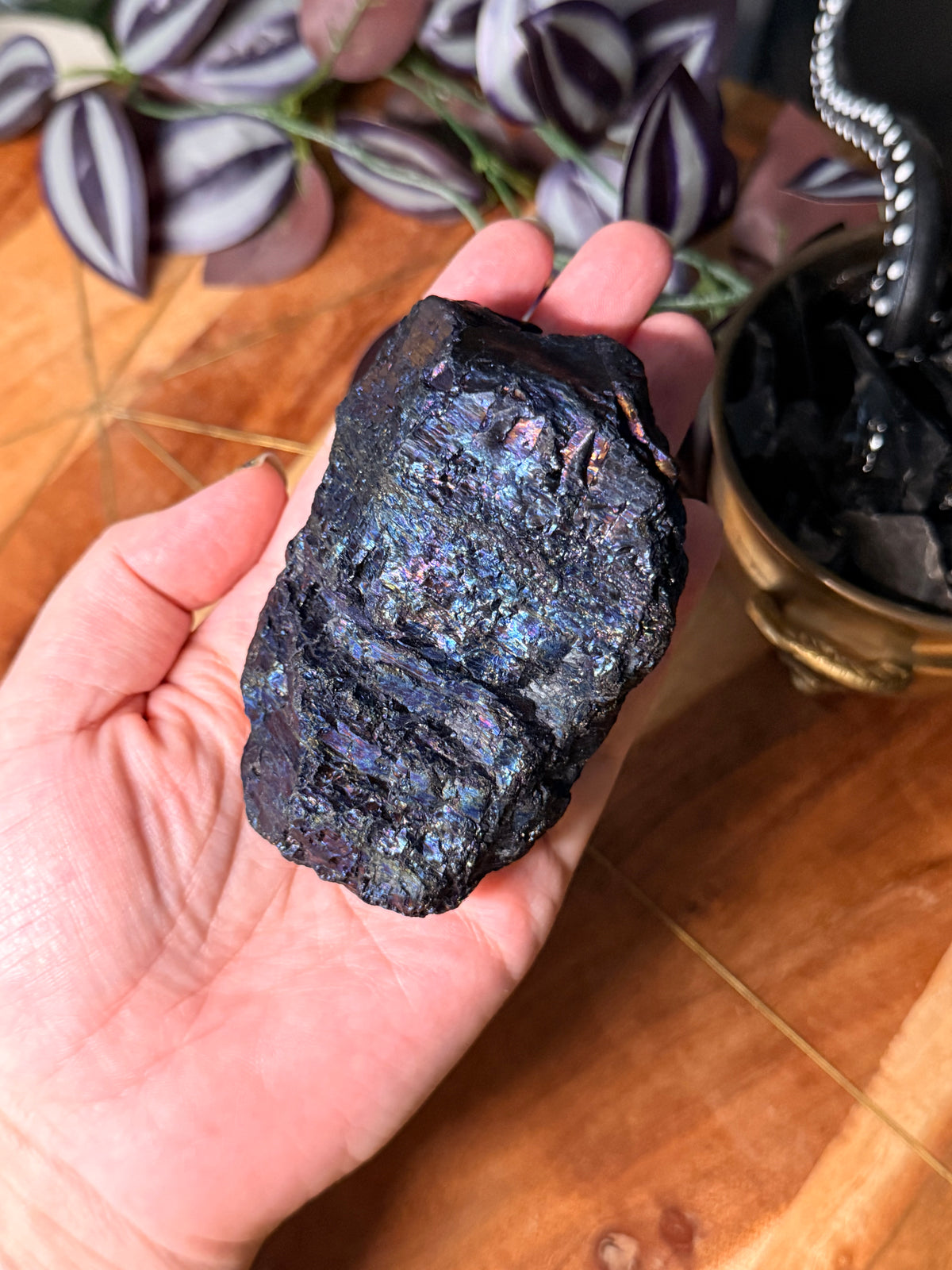 Peacock Coal