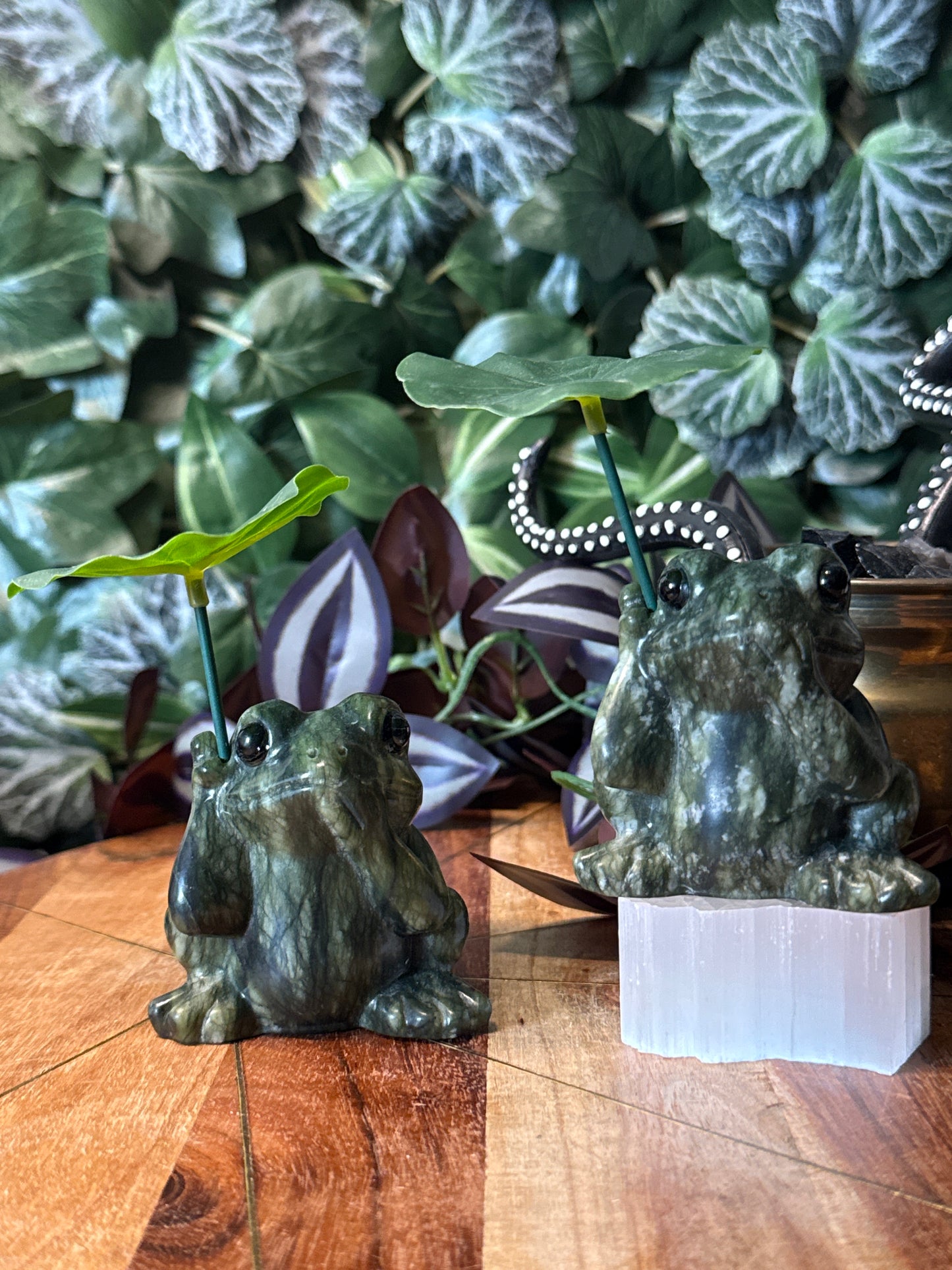 Green jade frog