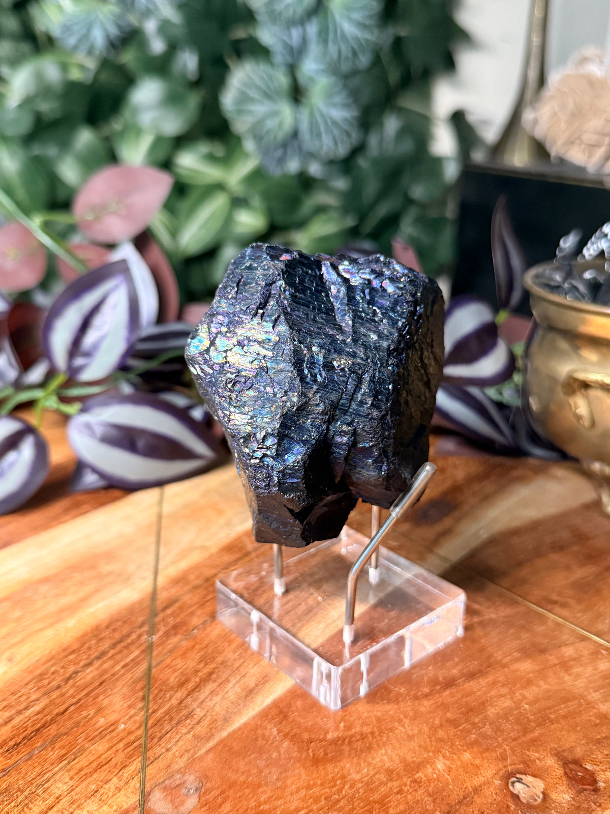 Peacock Coal
