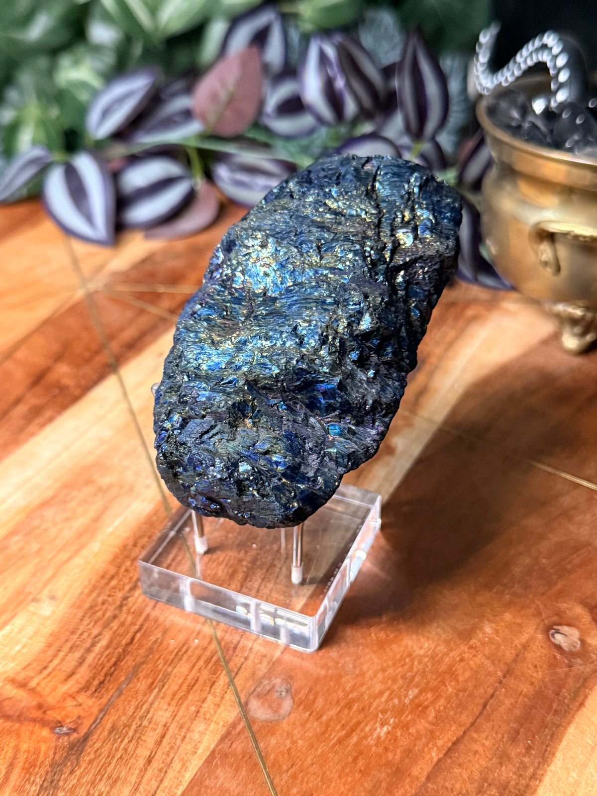 Peacock Coal