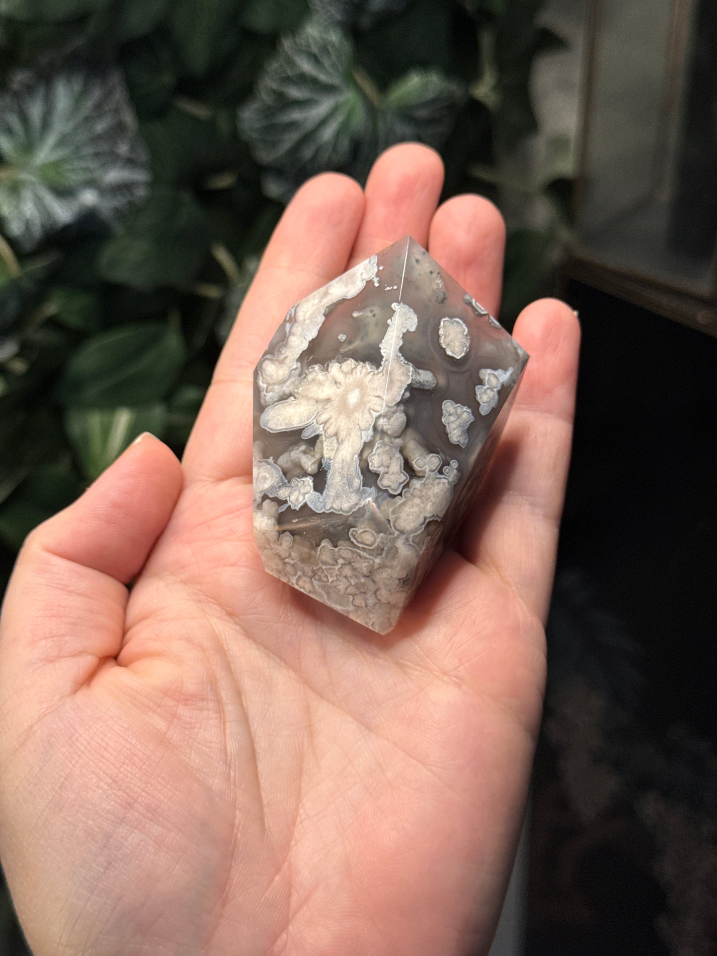 Black Flower Agate Freeforms