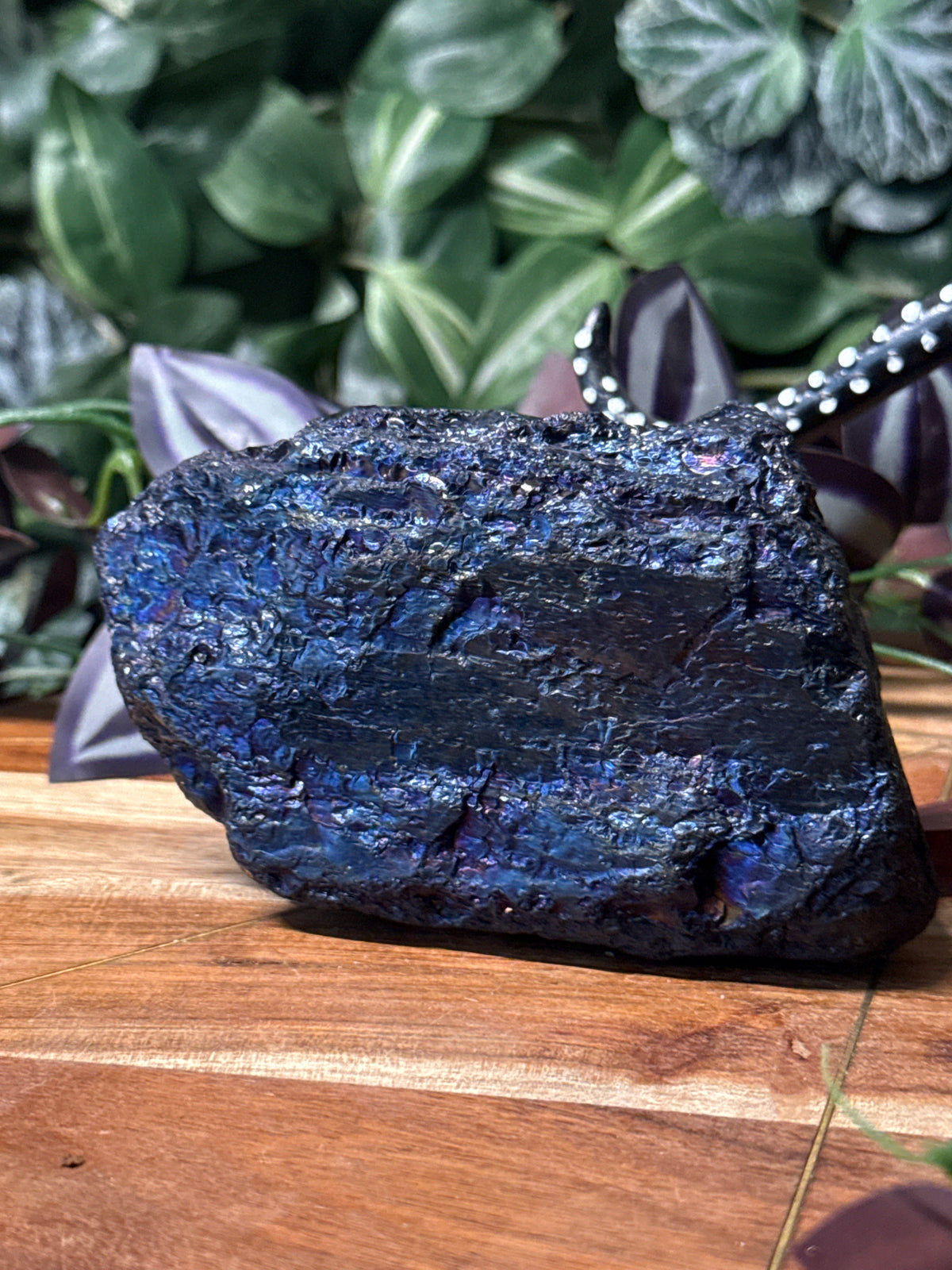 Peacock Coal