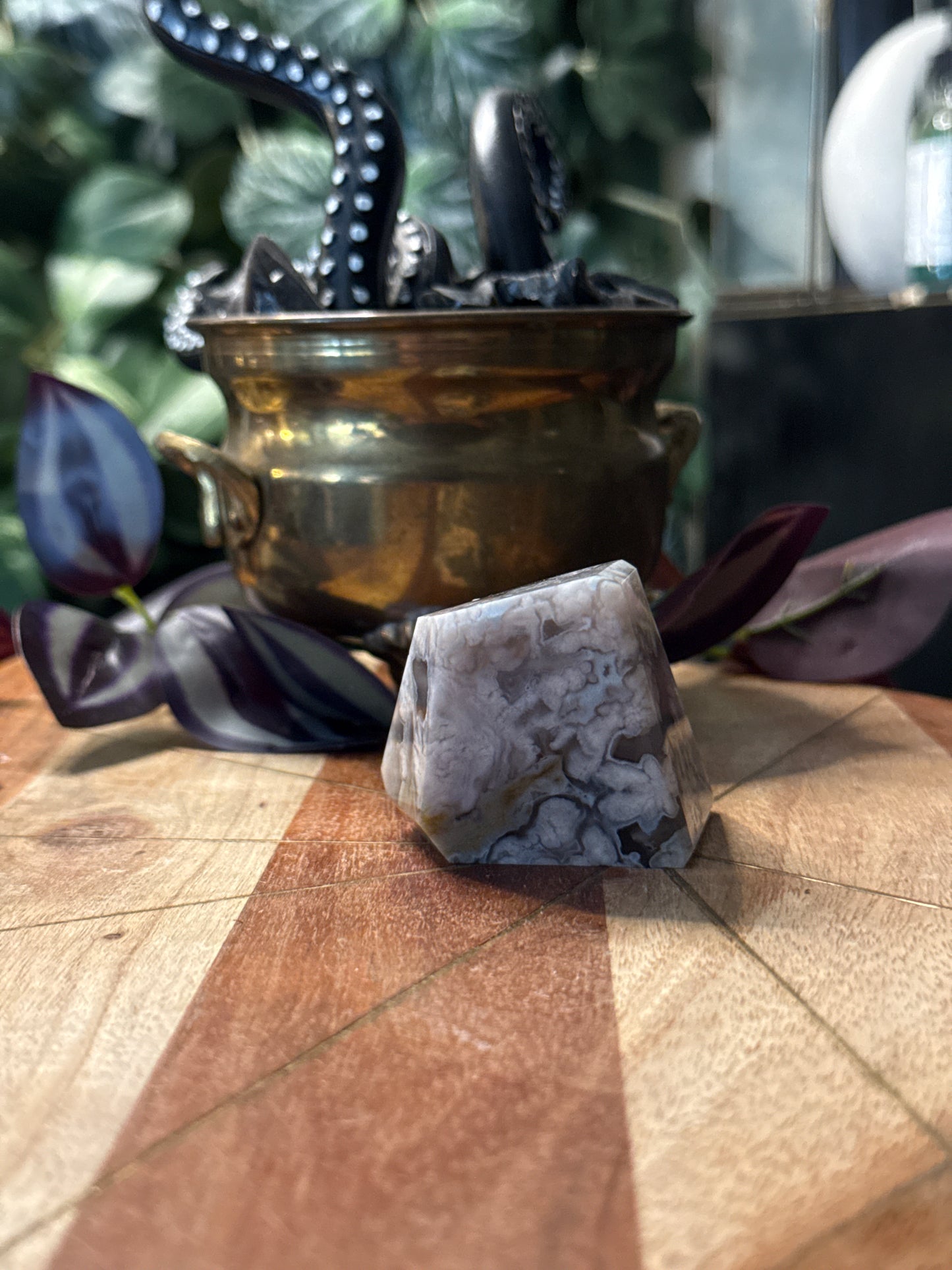 Black Flower Agate Freeforms