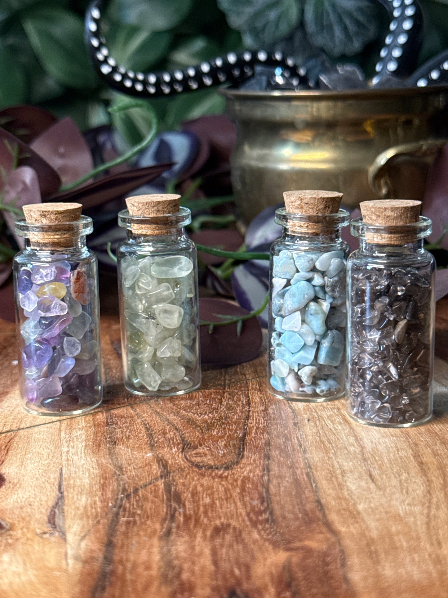 Bundle for Cruzes