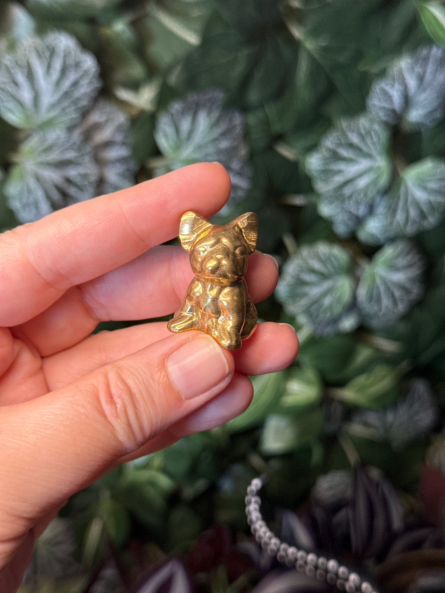 Pyrite frenchie