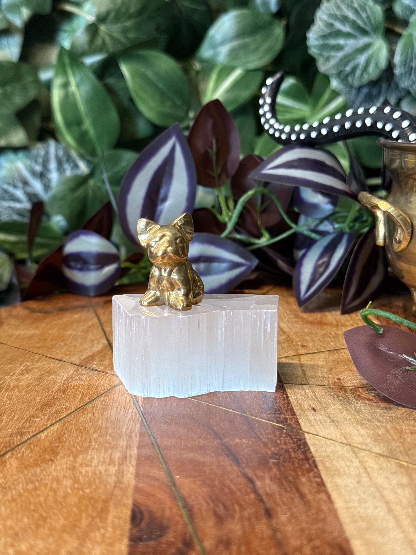 Pyrite frenchie