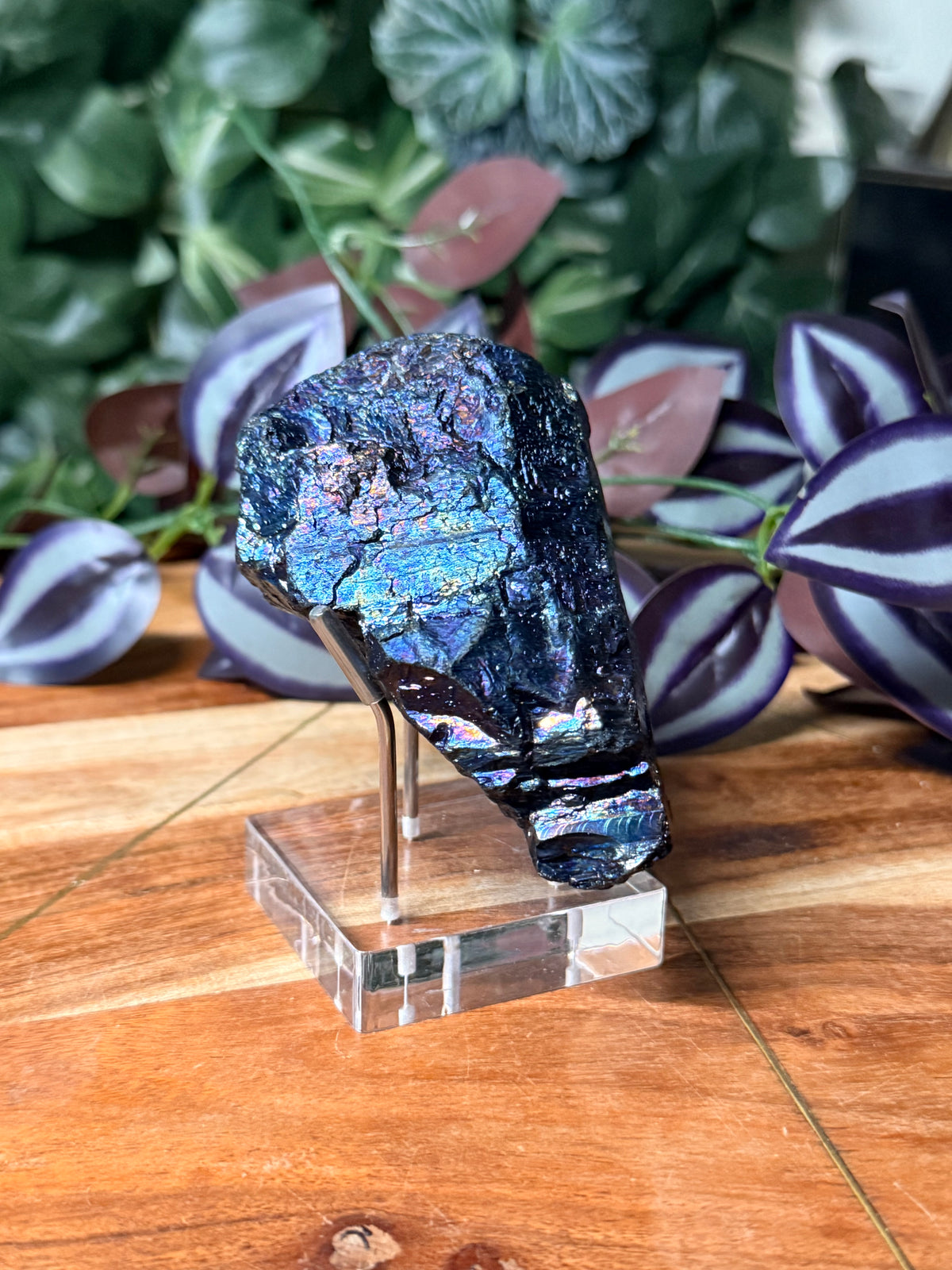 Peacock Coal